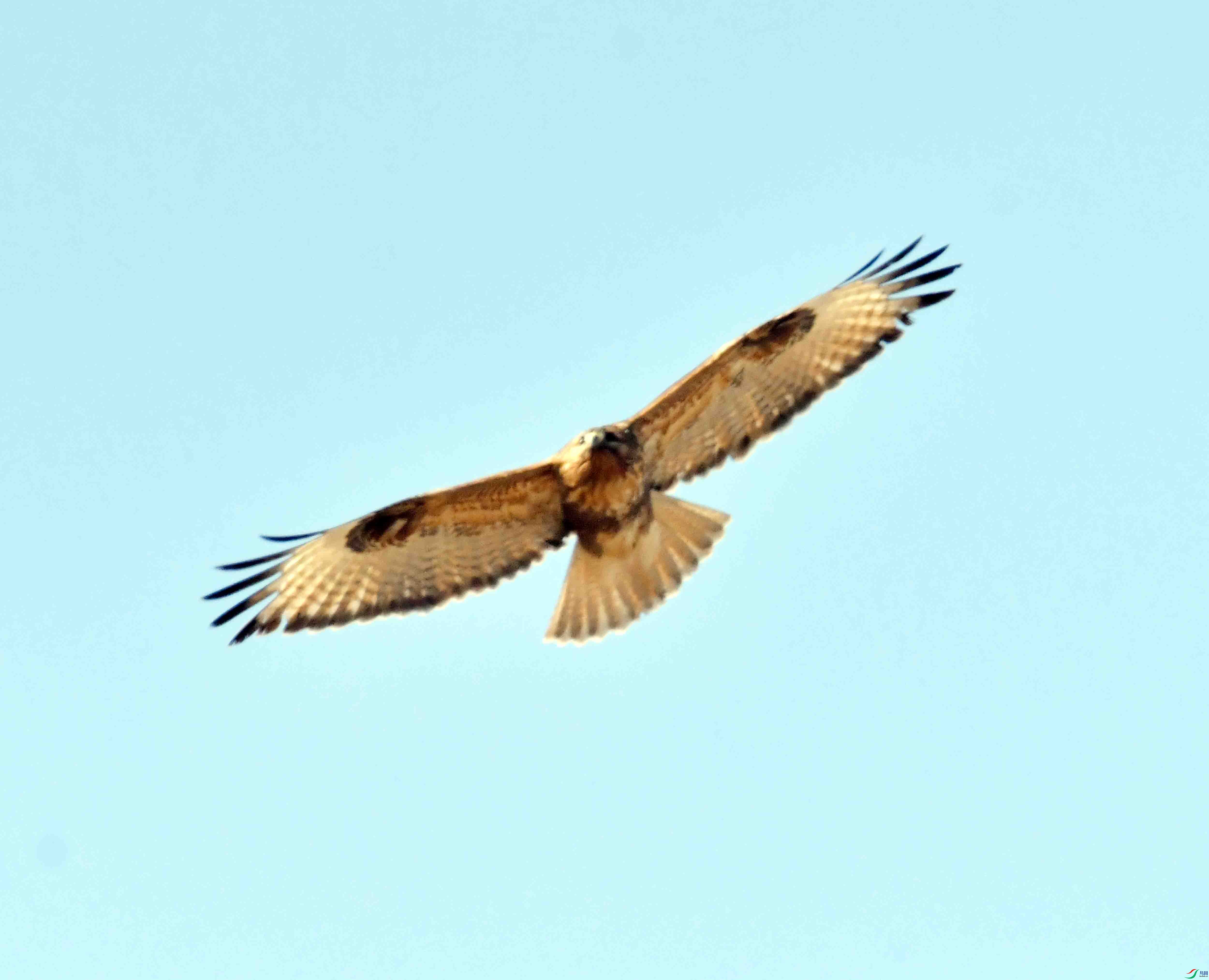 DSC_3104.JPG