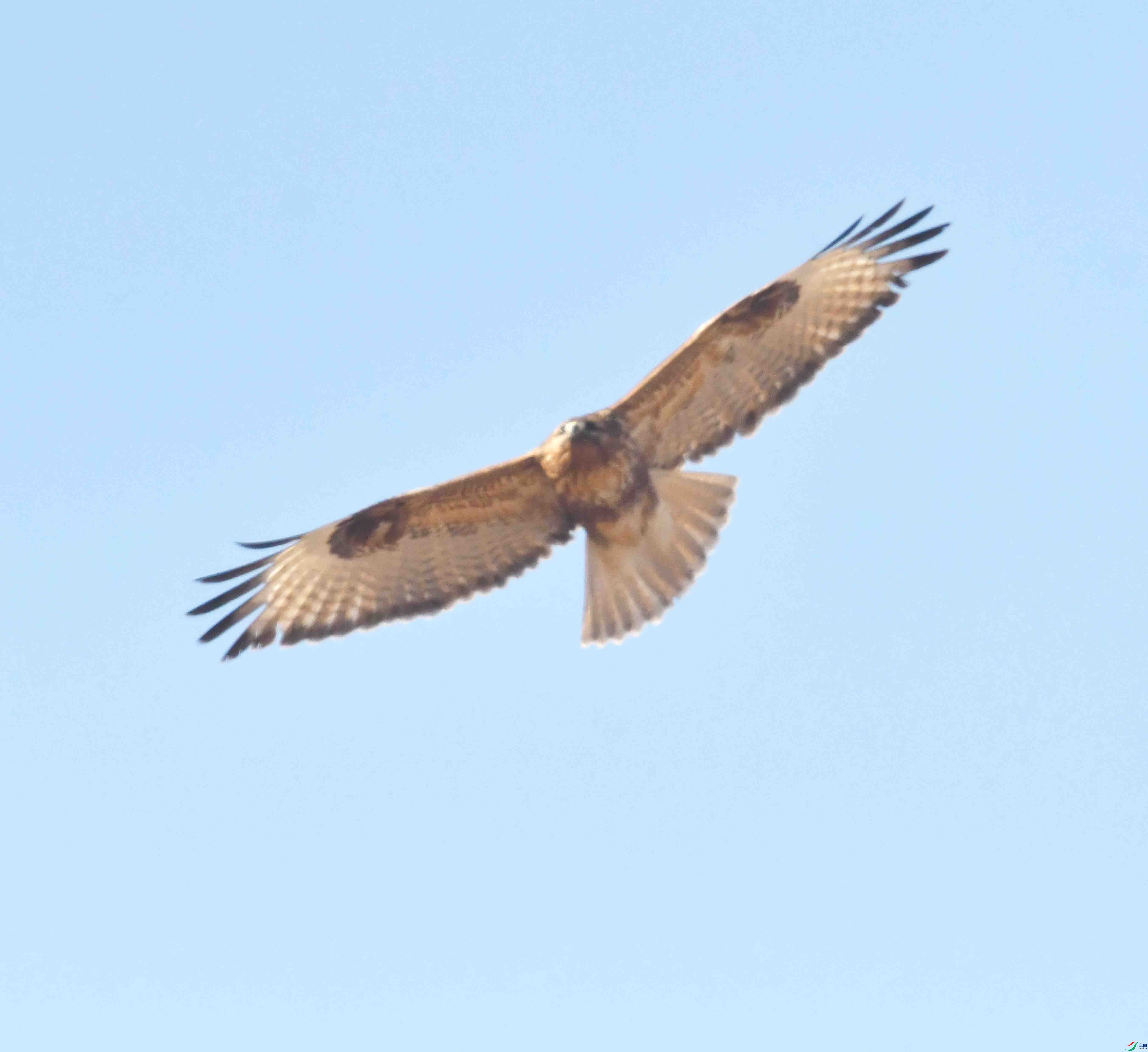 DSC_3105.JPG