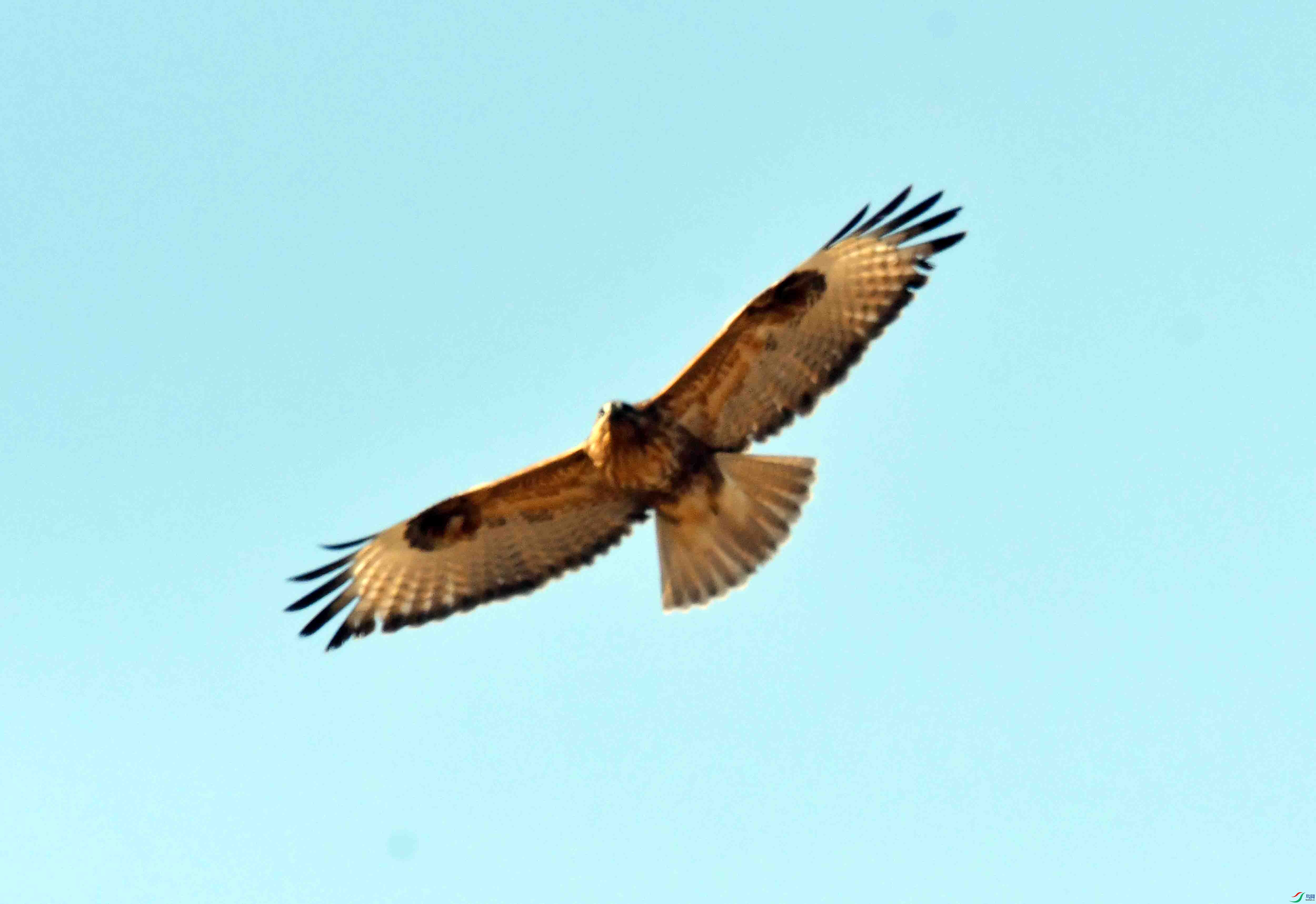 DSC_3107.JPG