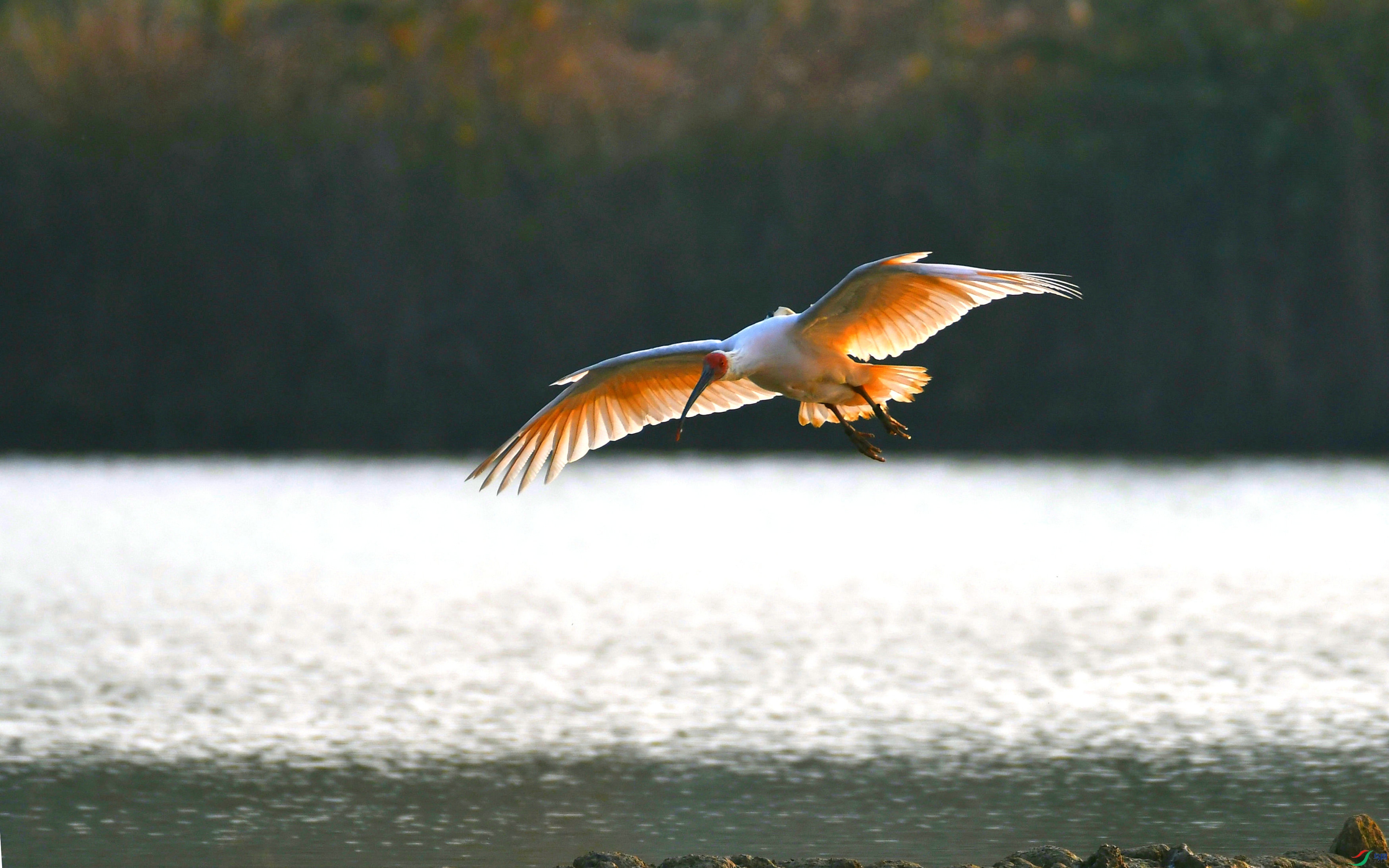 DSC_8033.JPG
