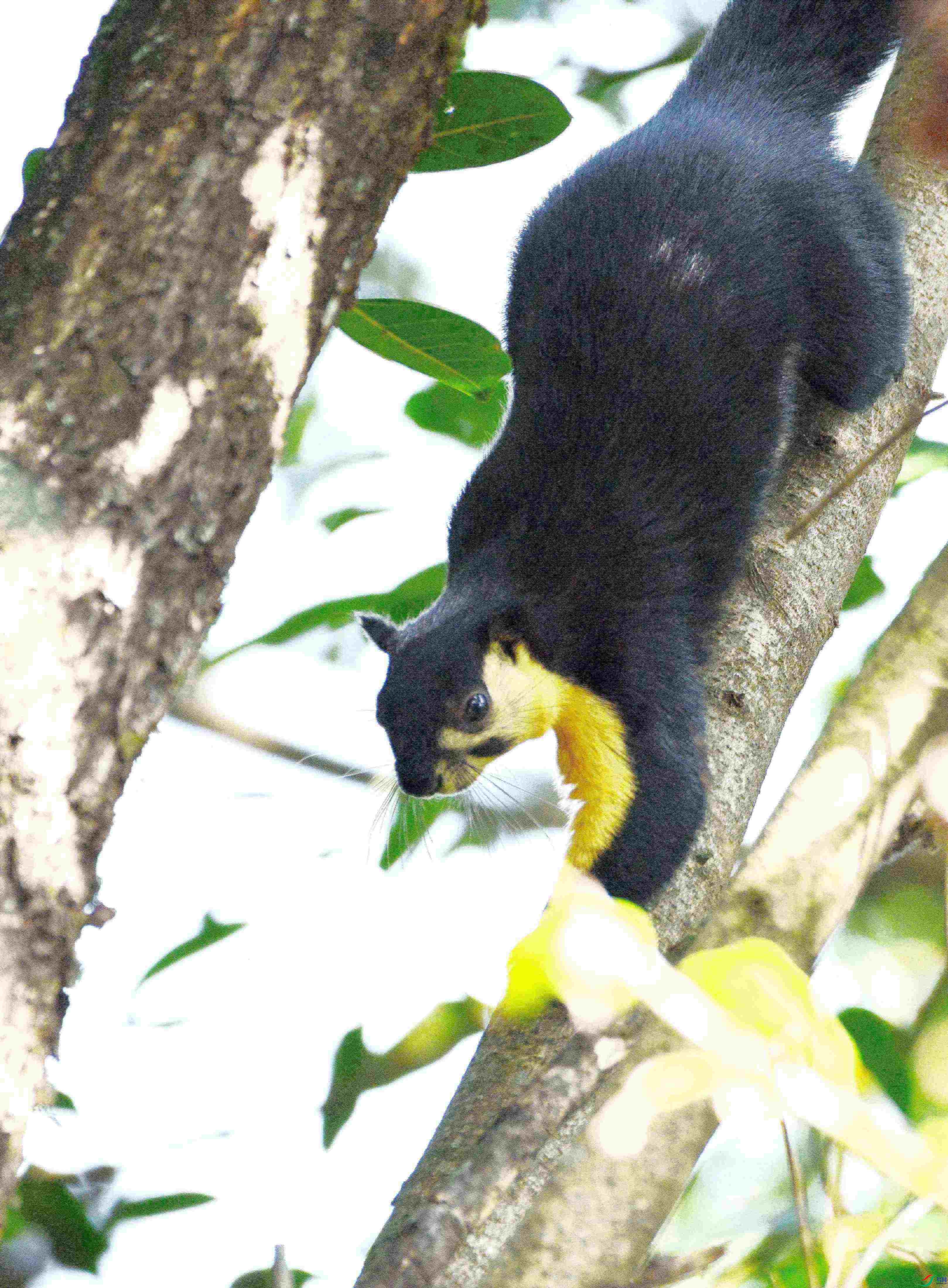 DSC_9822.JPG