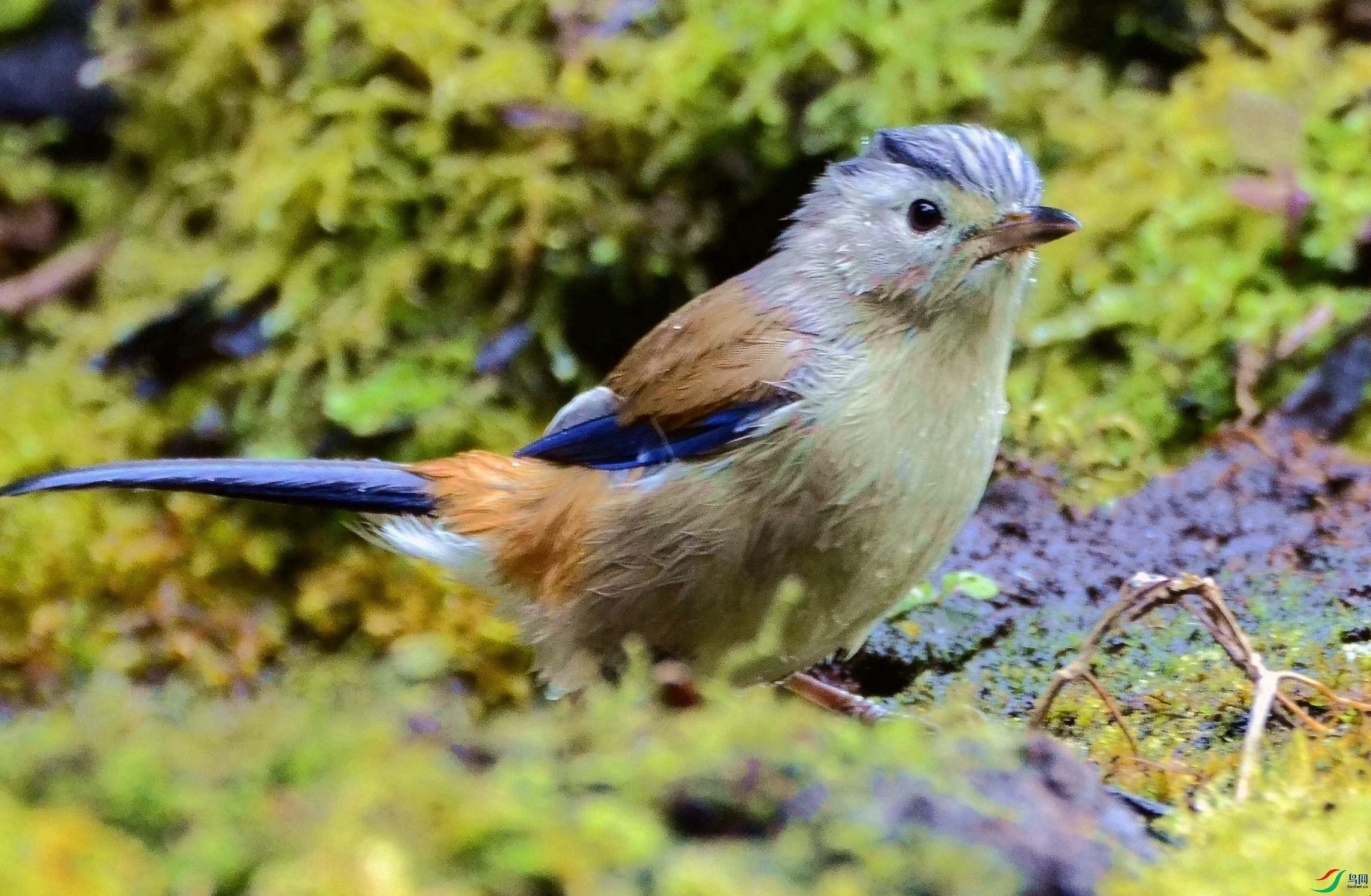 DSC_7352.JPG