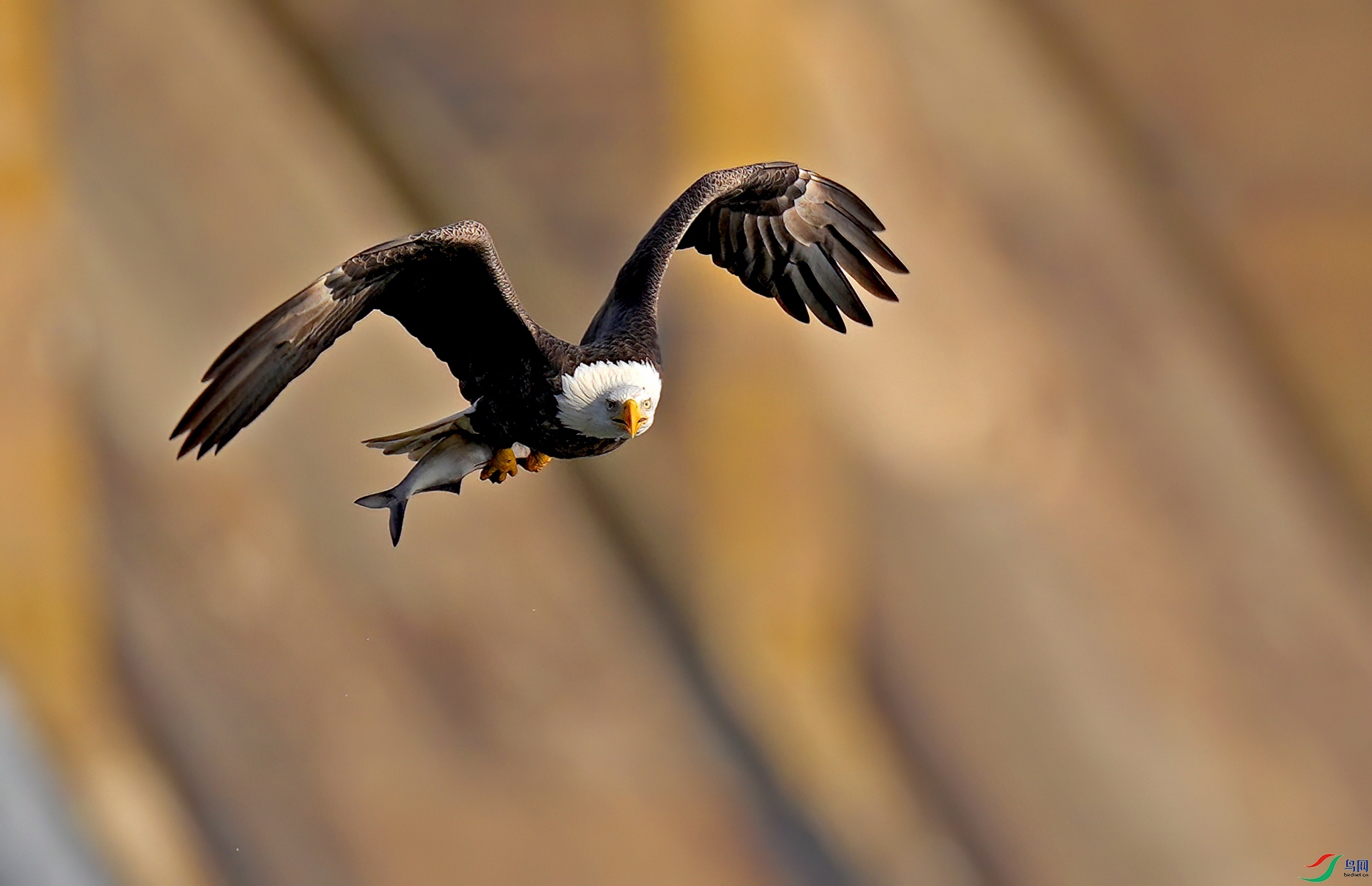 DSC04156--.jpg