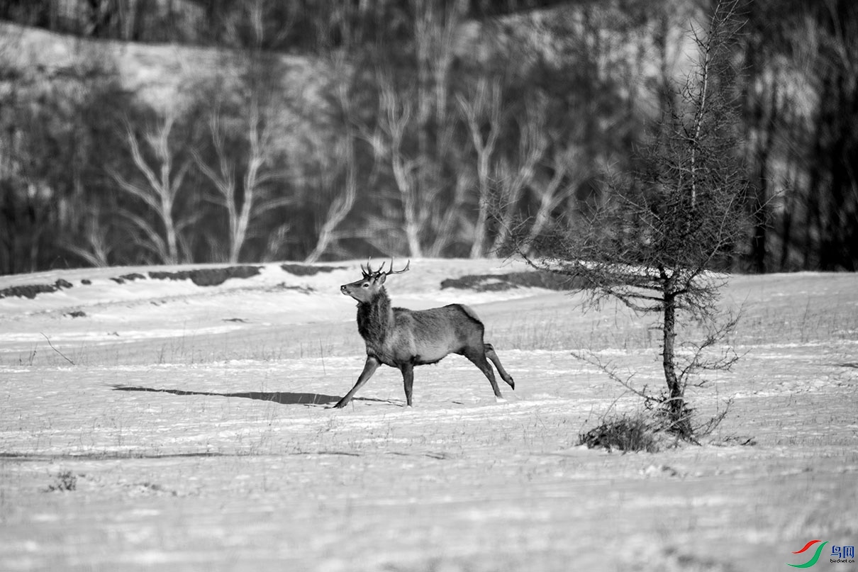 _DSC26840.jpg