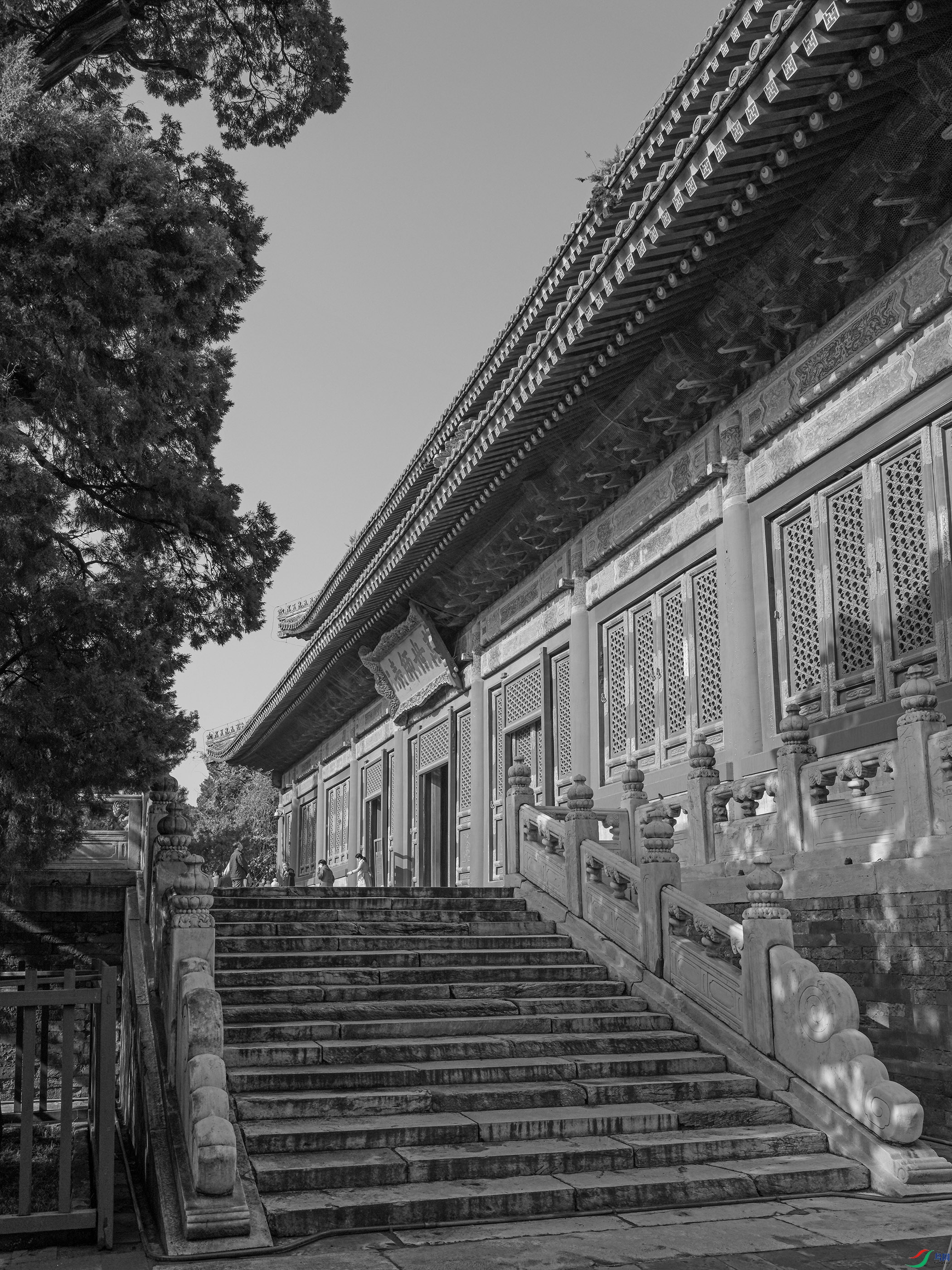 DSCF0038 ����.jpg