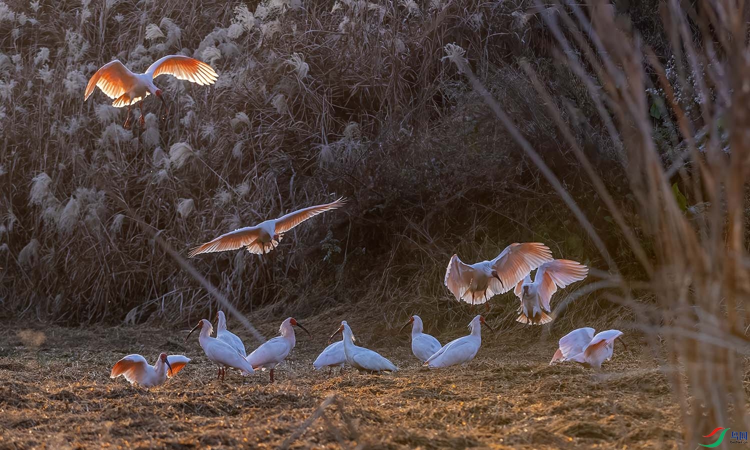 DSC_2291 ����.jpg