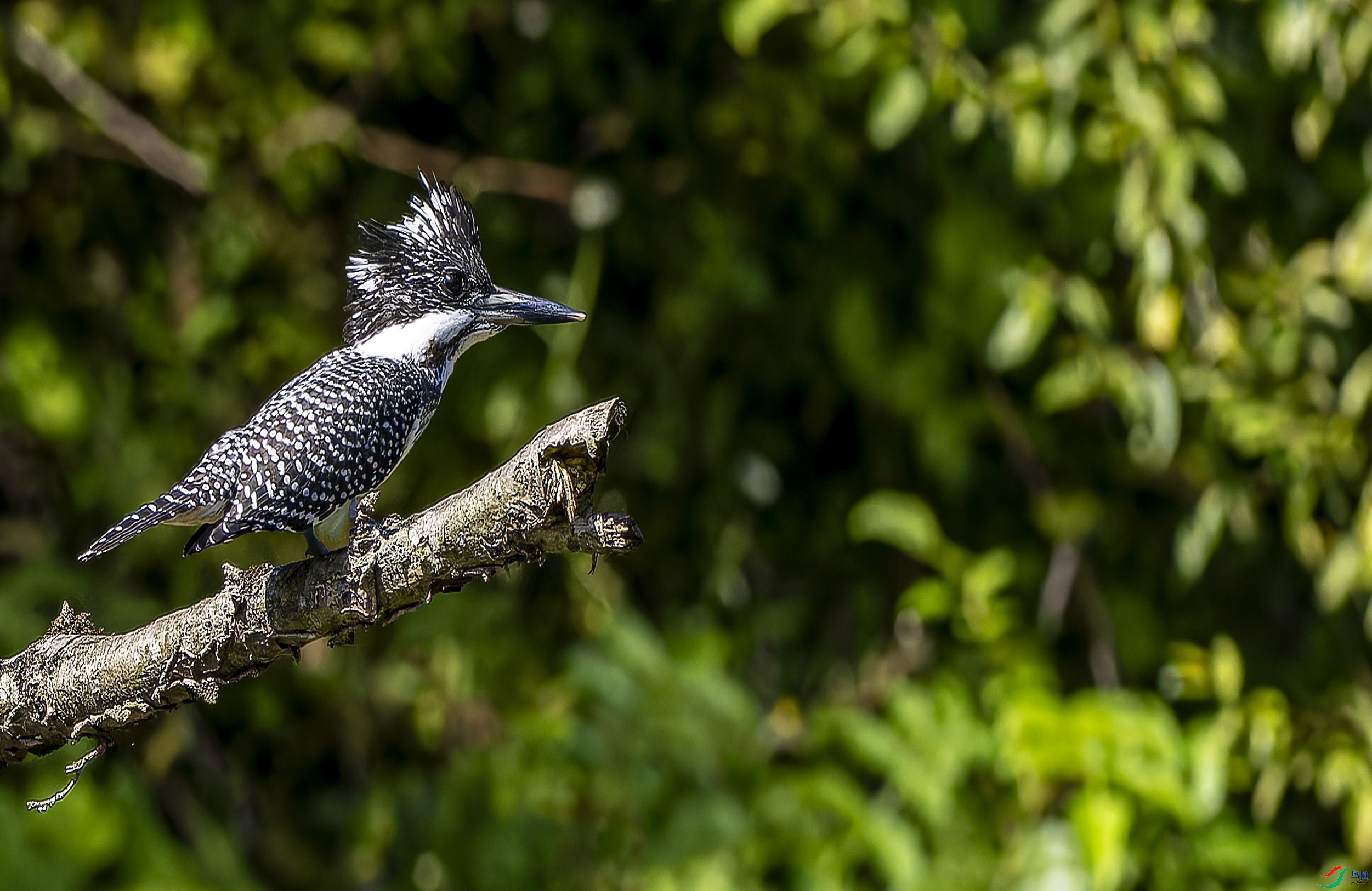 ���㹷 (630)-1.jpg