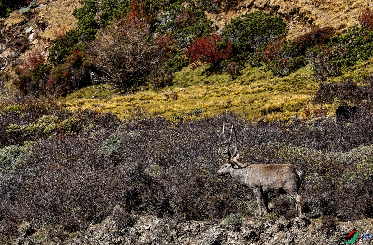 ��¹������ (106)-1.jpg