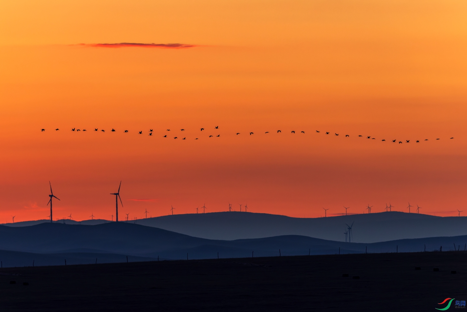 _D2A5560-CR3_DxO_DeepPRIME ����-11.JPG