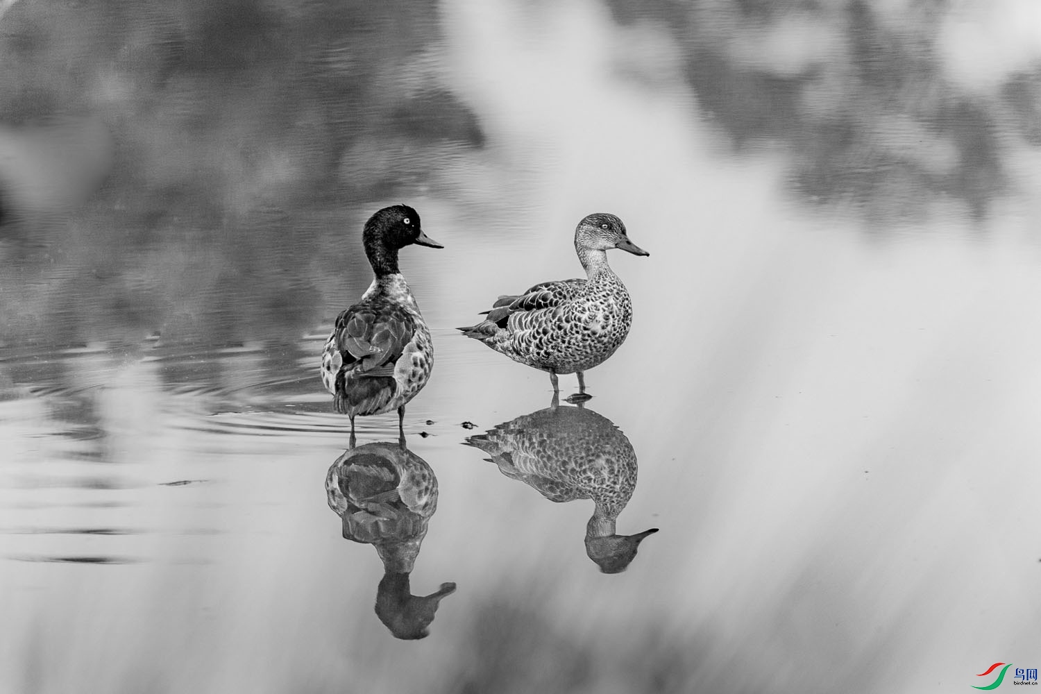 380A7198_3 ����.jpg