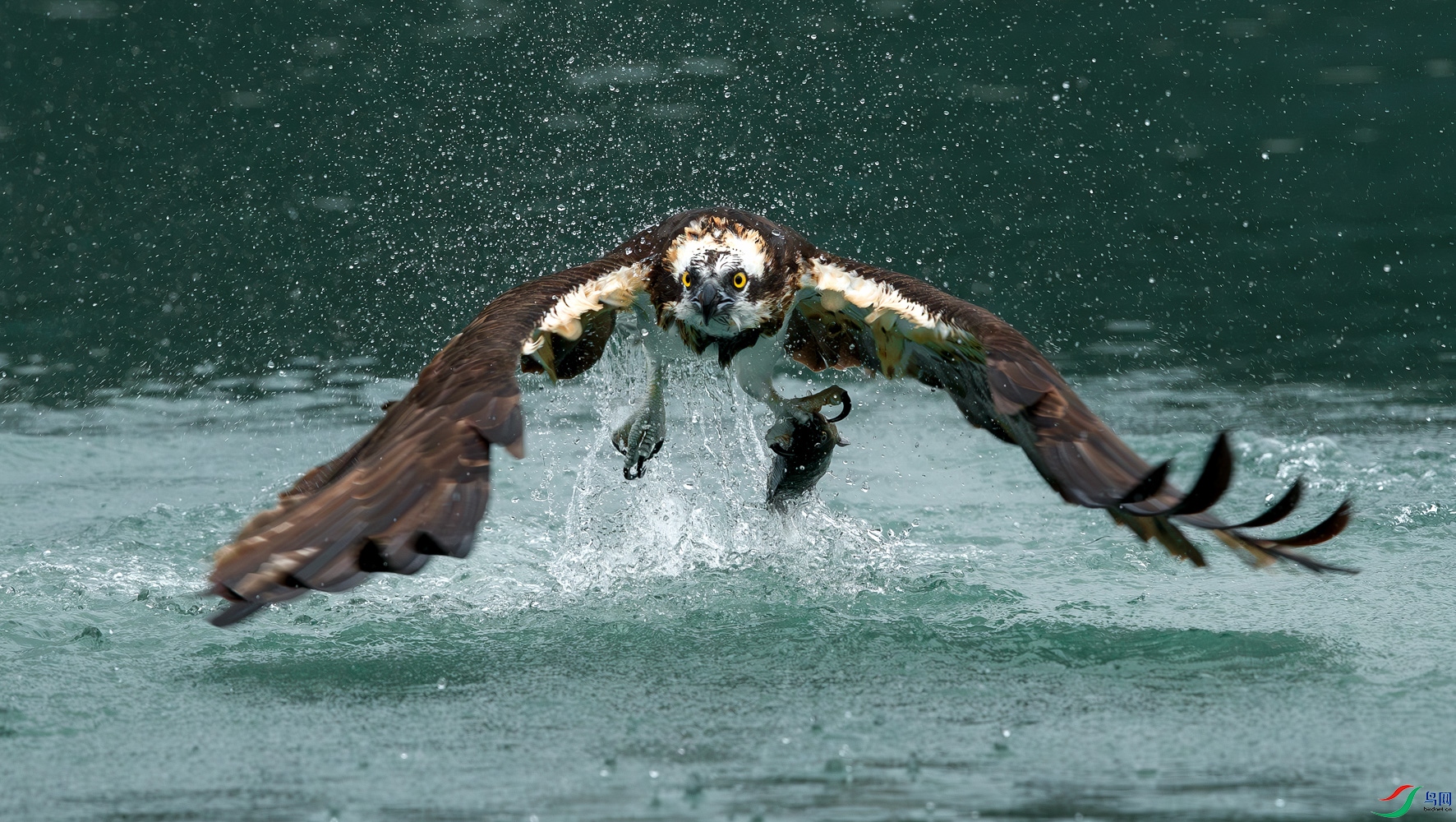 AQ9I2036-����ǿ-NR ���� 2_1.jpg