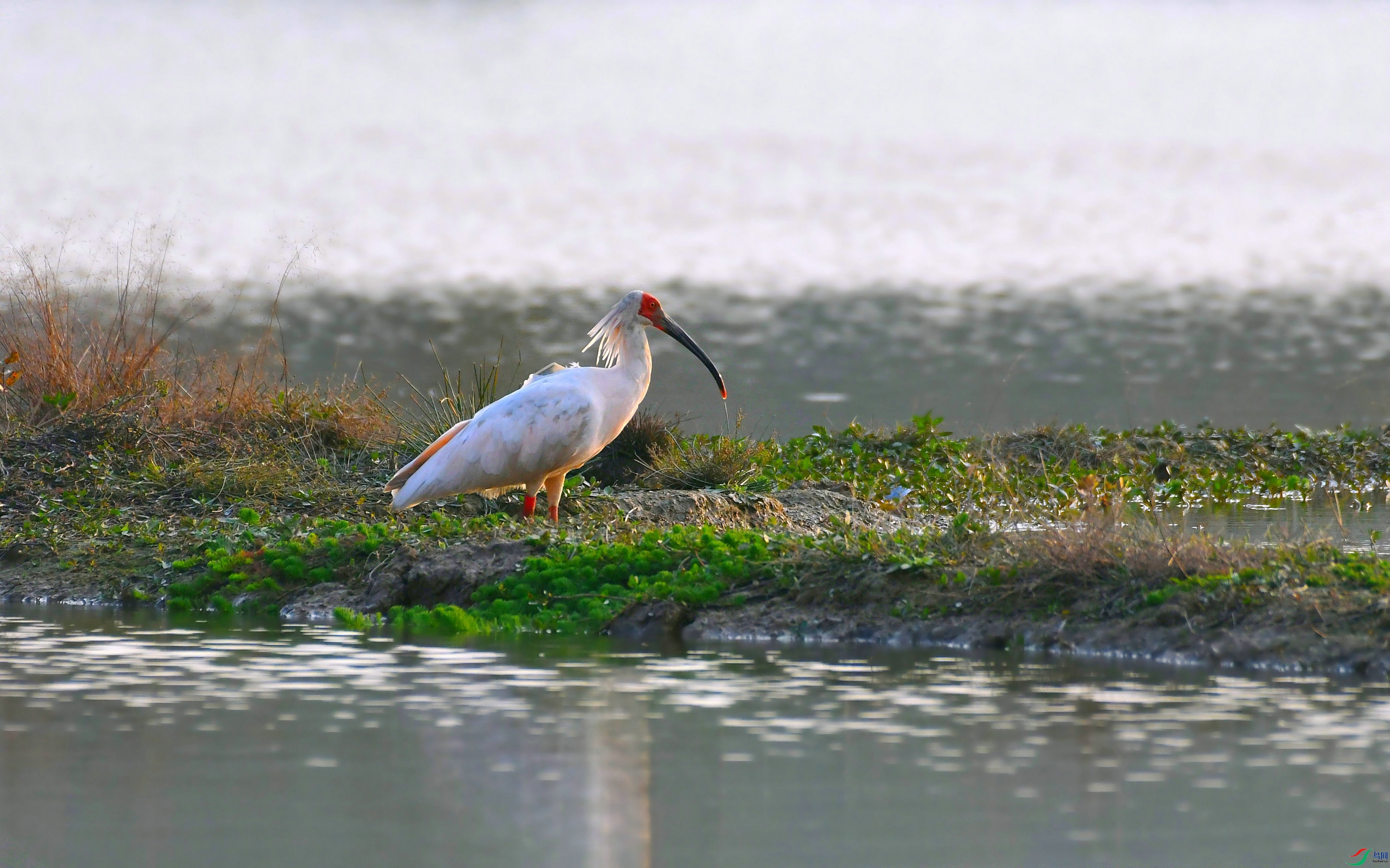 DSC_8049.JPG