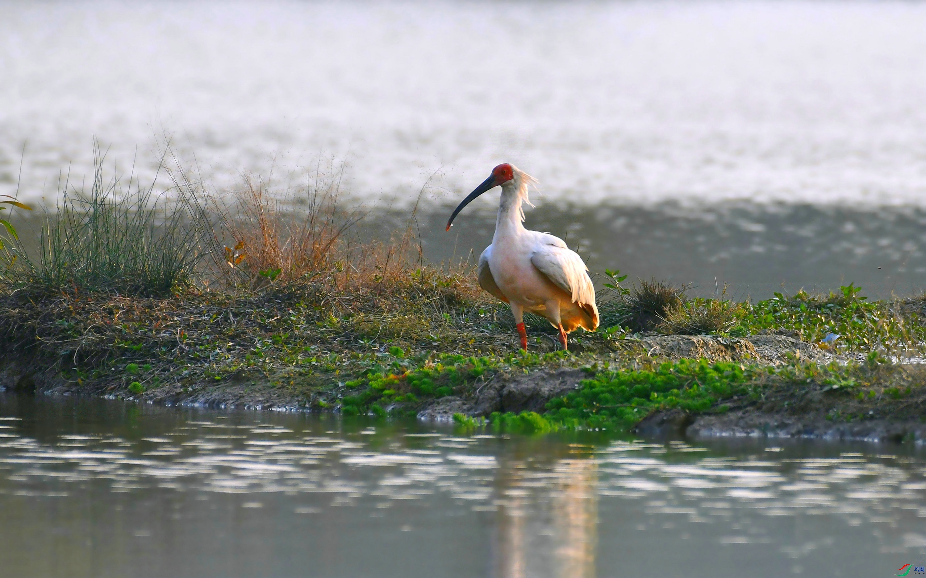 DSC_8041.JPG
