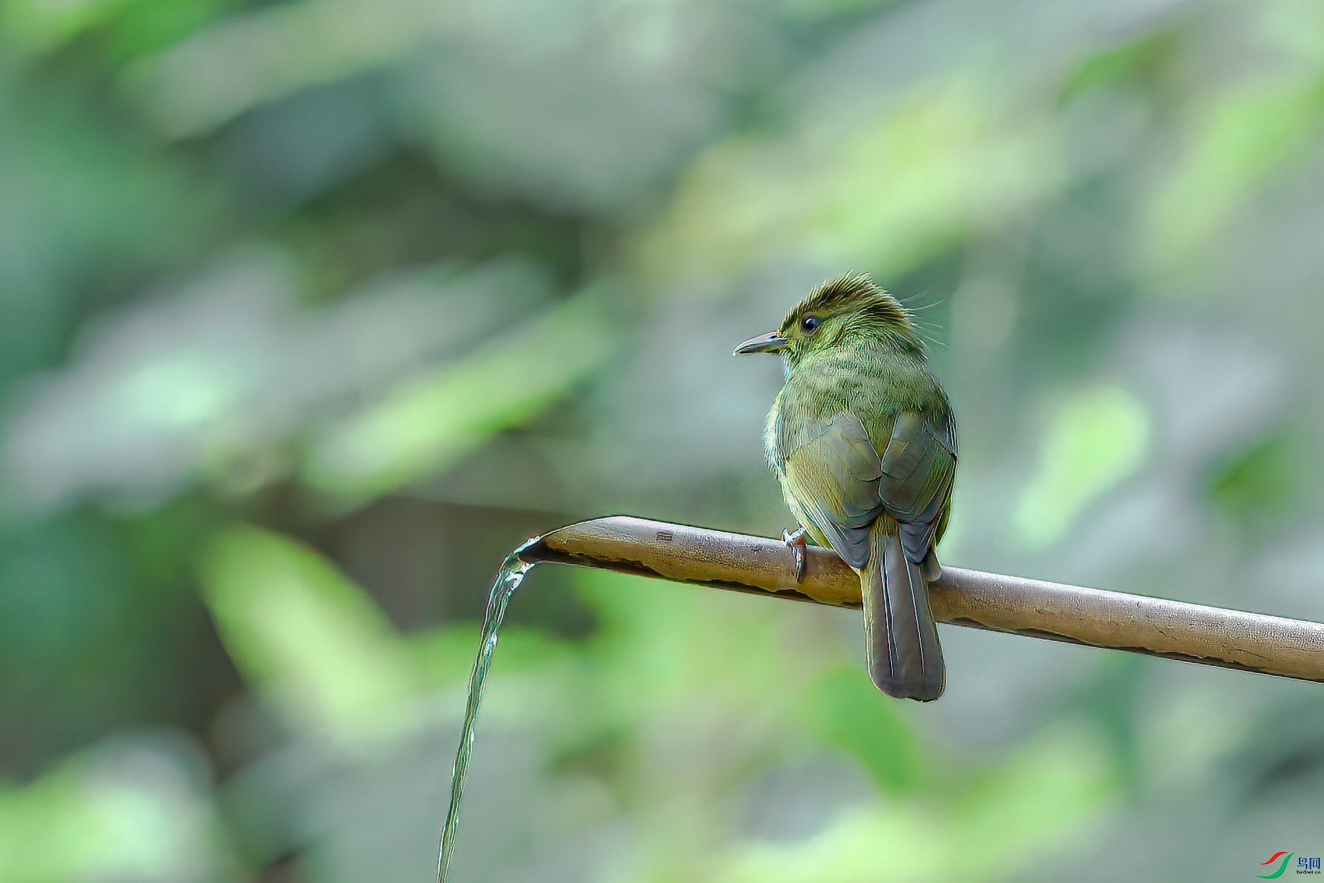 a_73658-1.jpg