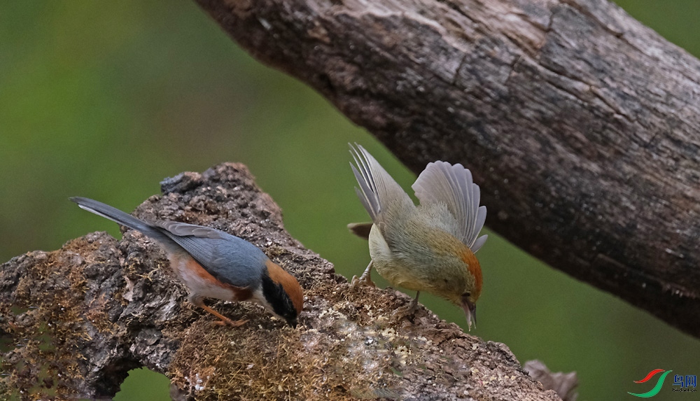 DSCF3122.1.jpg