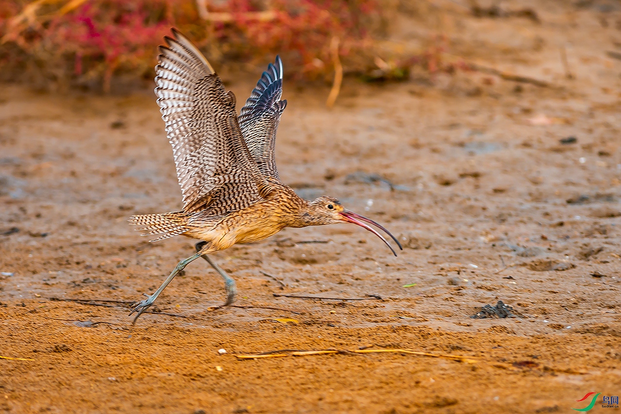 DSC_3948.jpg