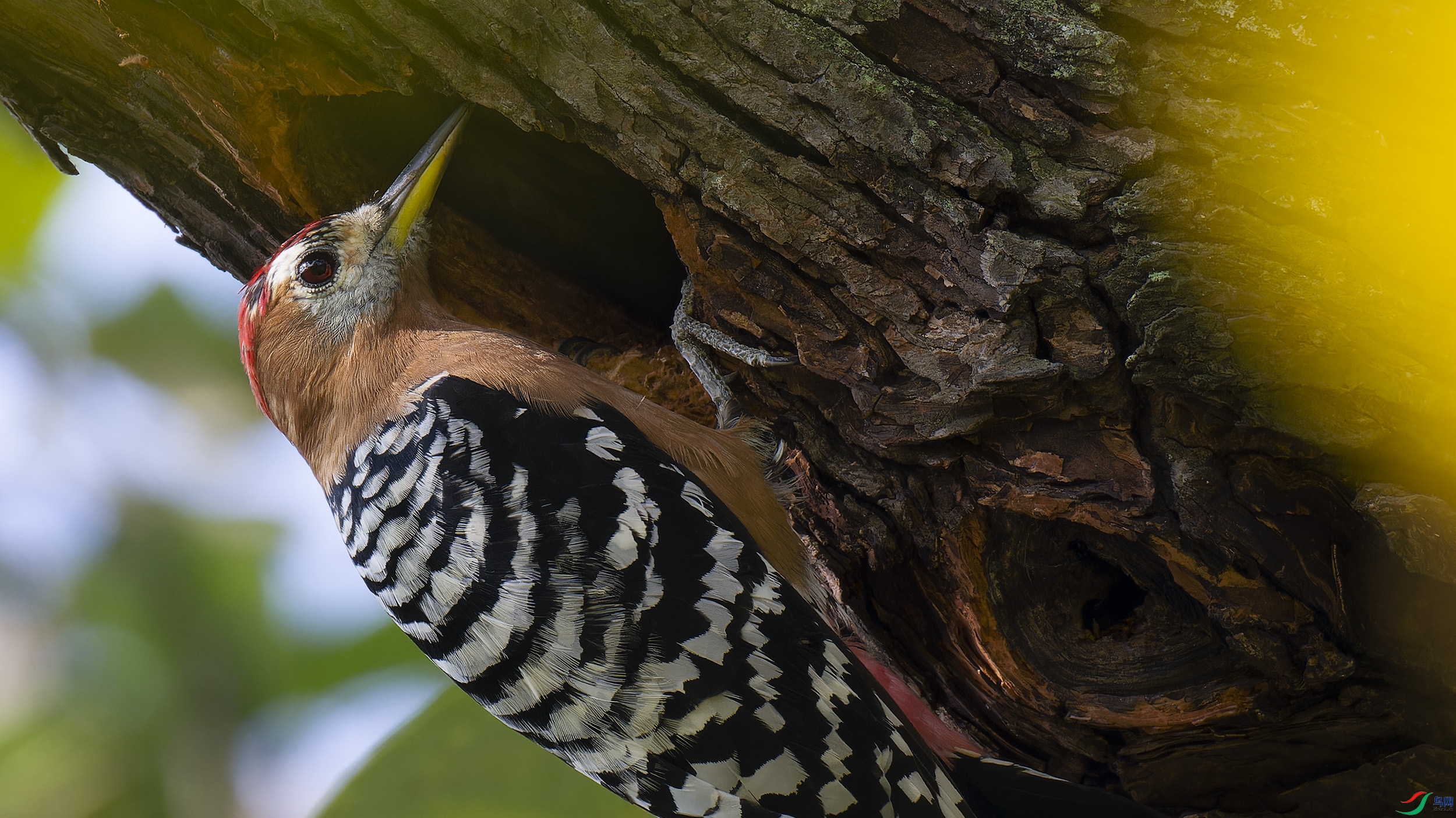 DSC_9698_DxO.jpg