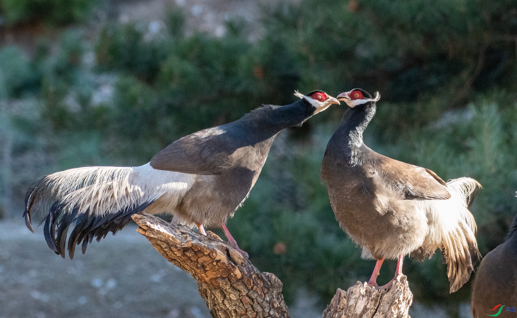 DSC_6614.jpg