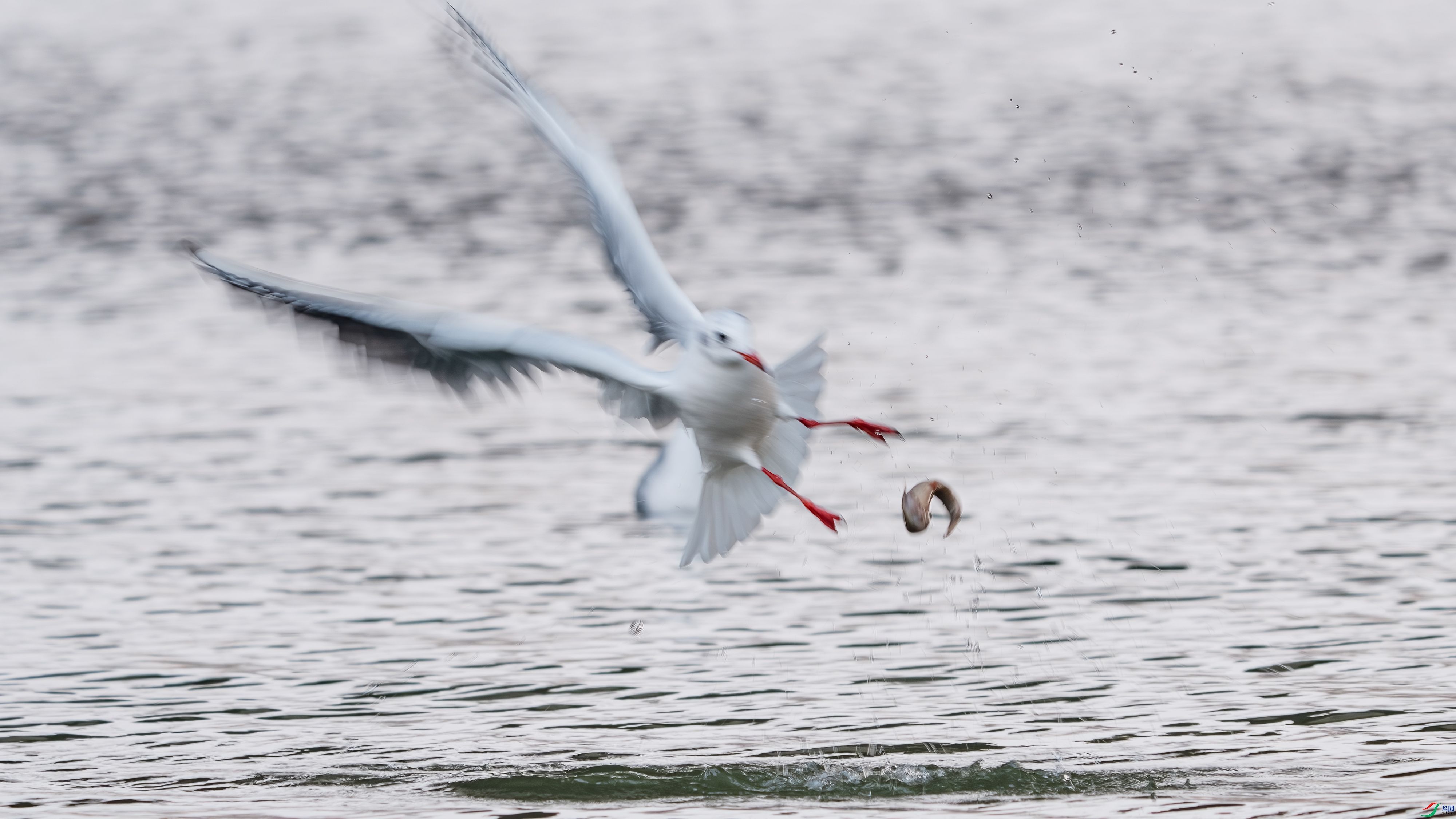 DSC08363 ���� 2.jpg