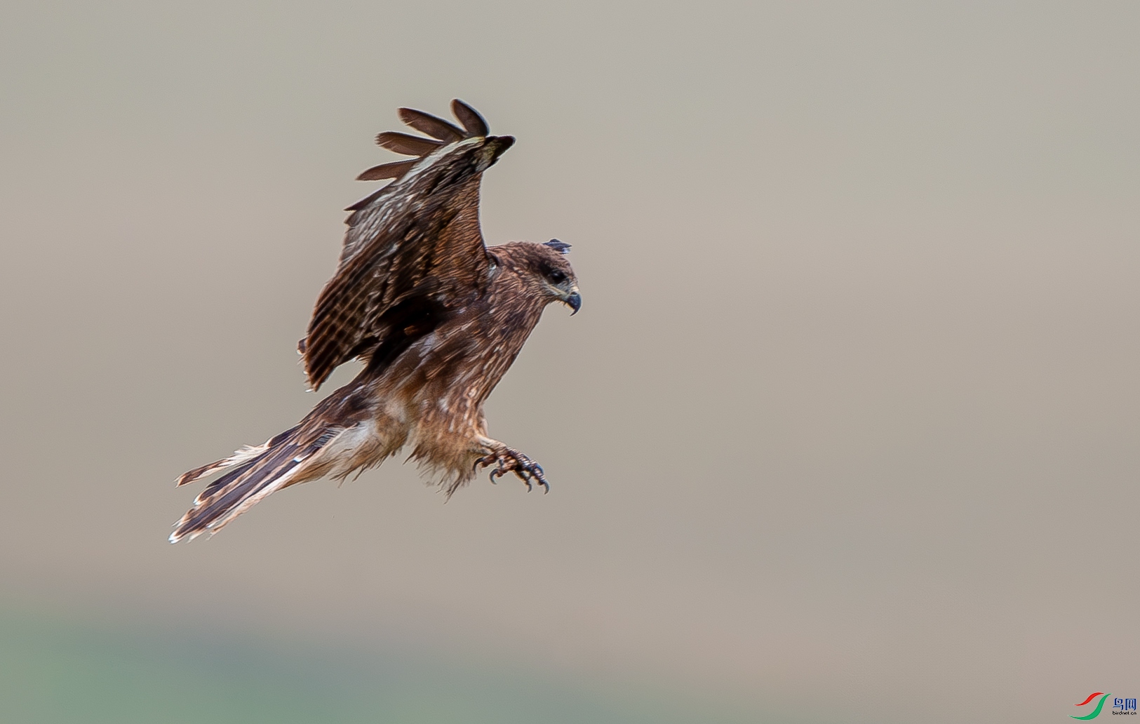D3S_6538.jpg