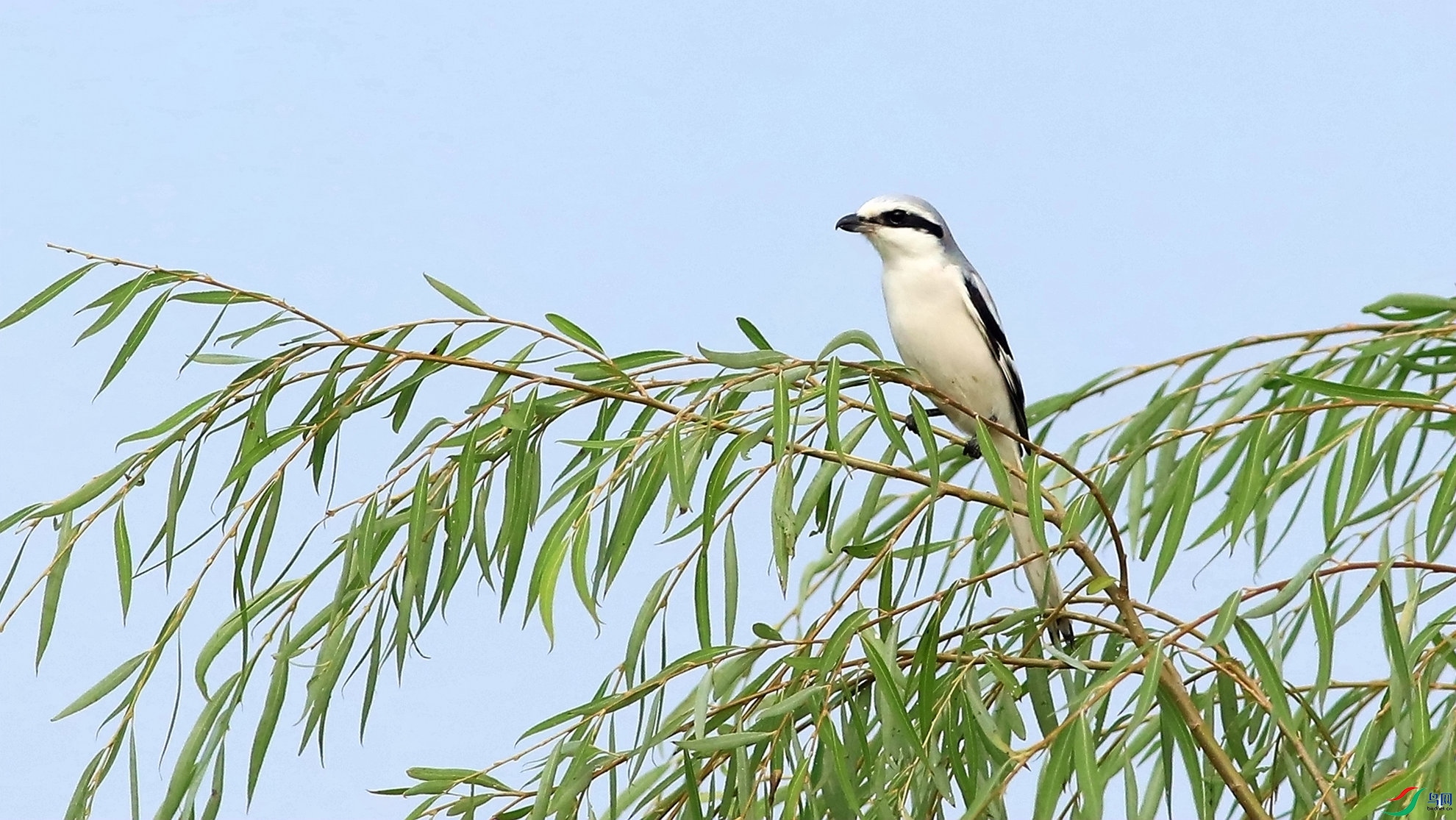 ż��Шβ����1-1