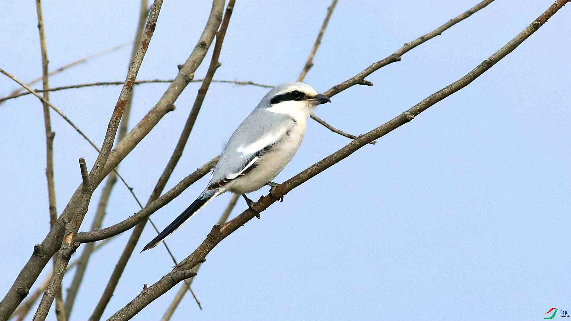 ż��Шβ����1-2