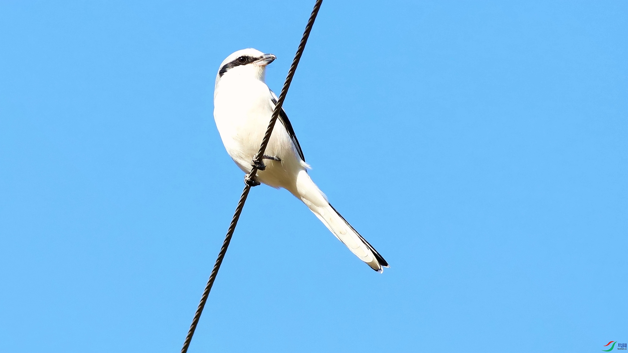 ż��Шβ����2-1