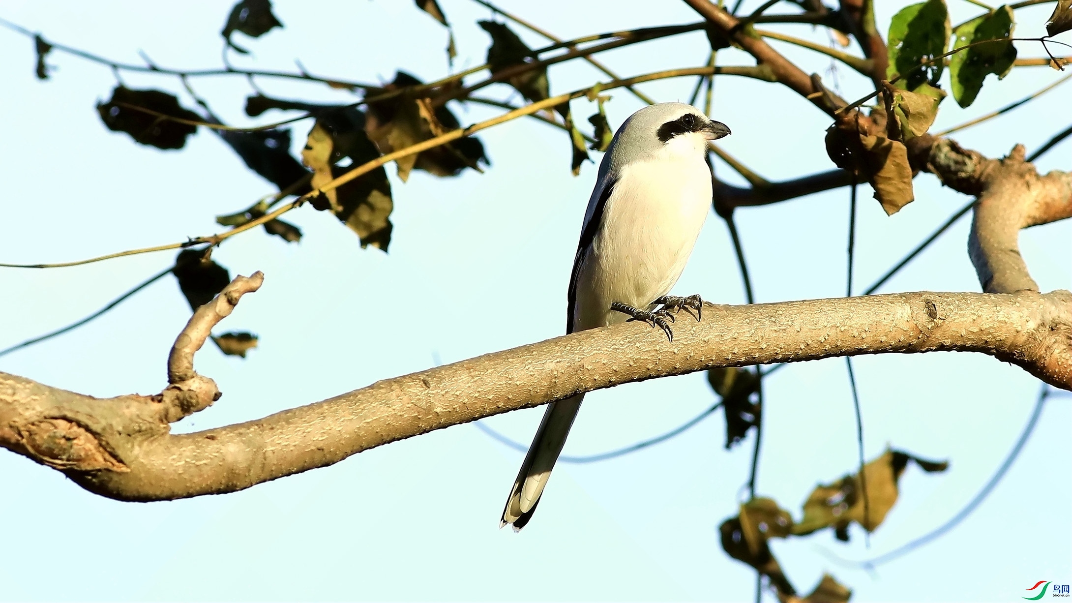 ż��Шβ����2-2