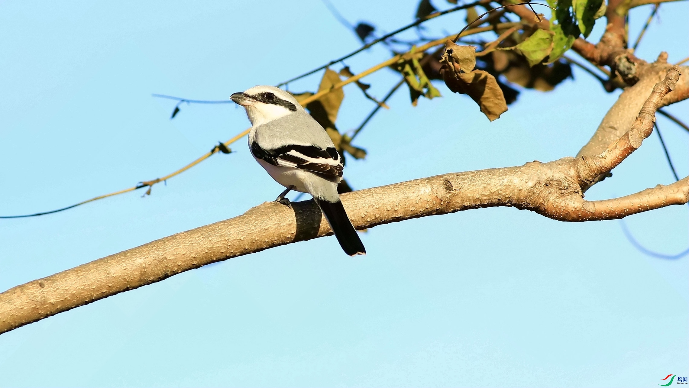 ż��Шβ����2-3