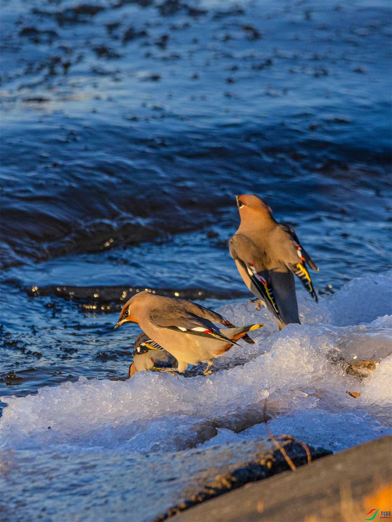 1K3A0200 ����1.jpg