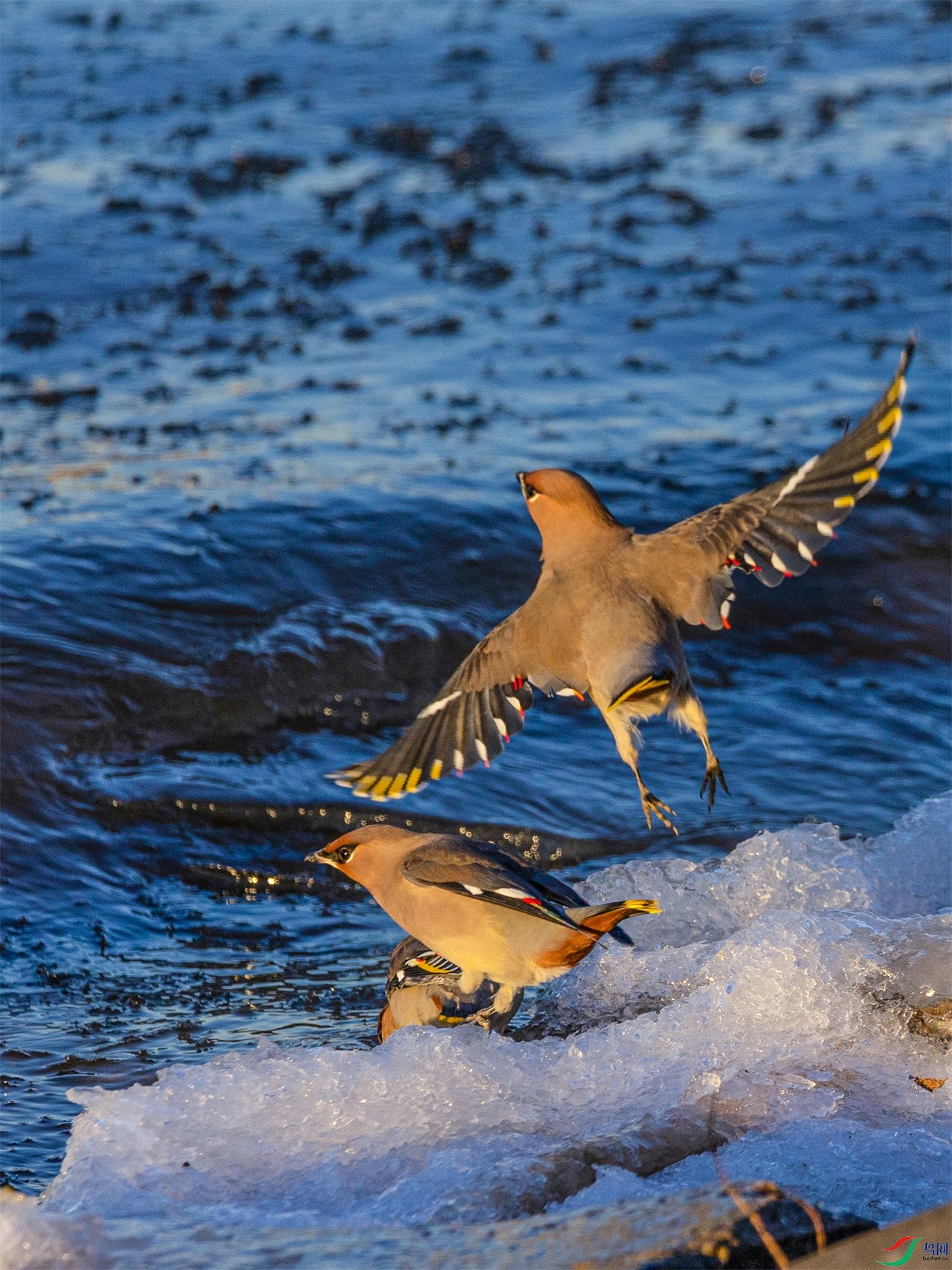 1K3A0202 ����1.jpg