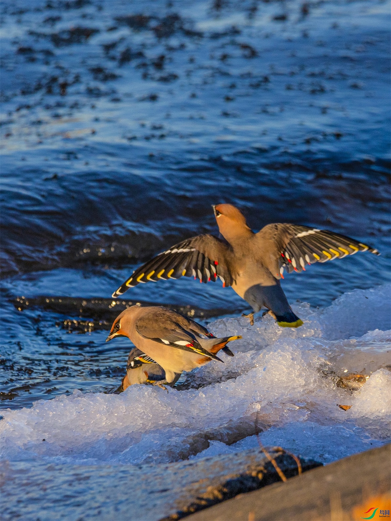 1K3A0201 ����1.jpg