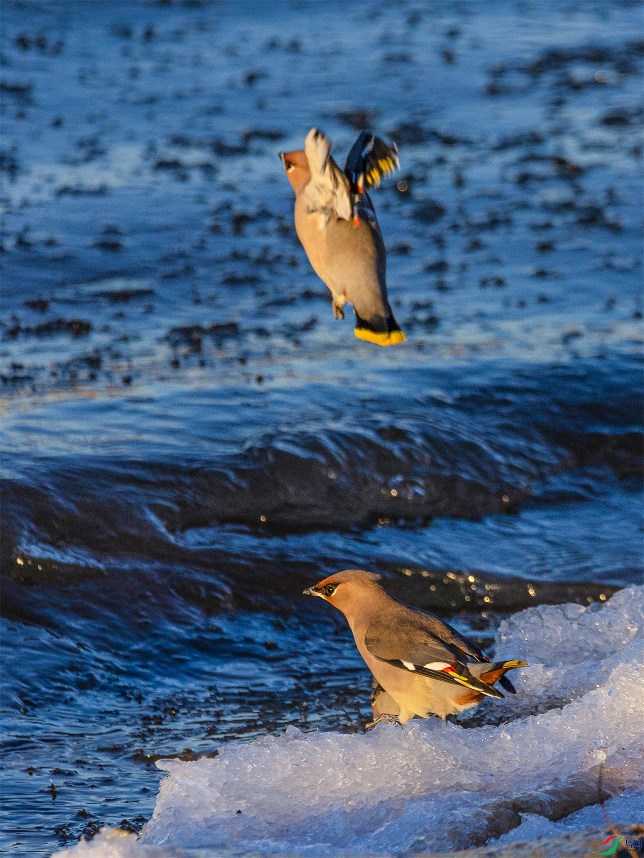 1K3A0204 ����1.jpg