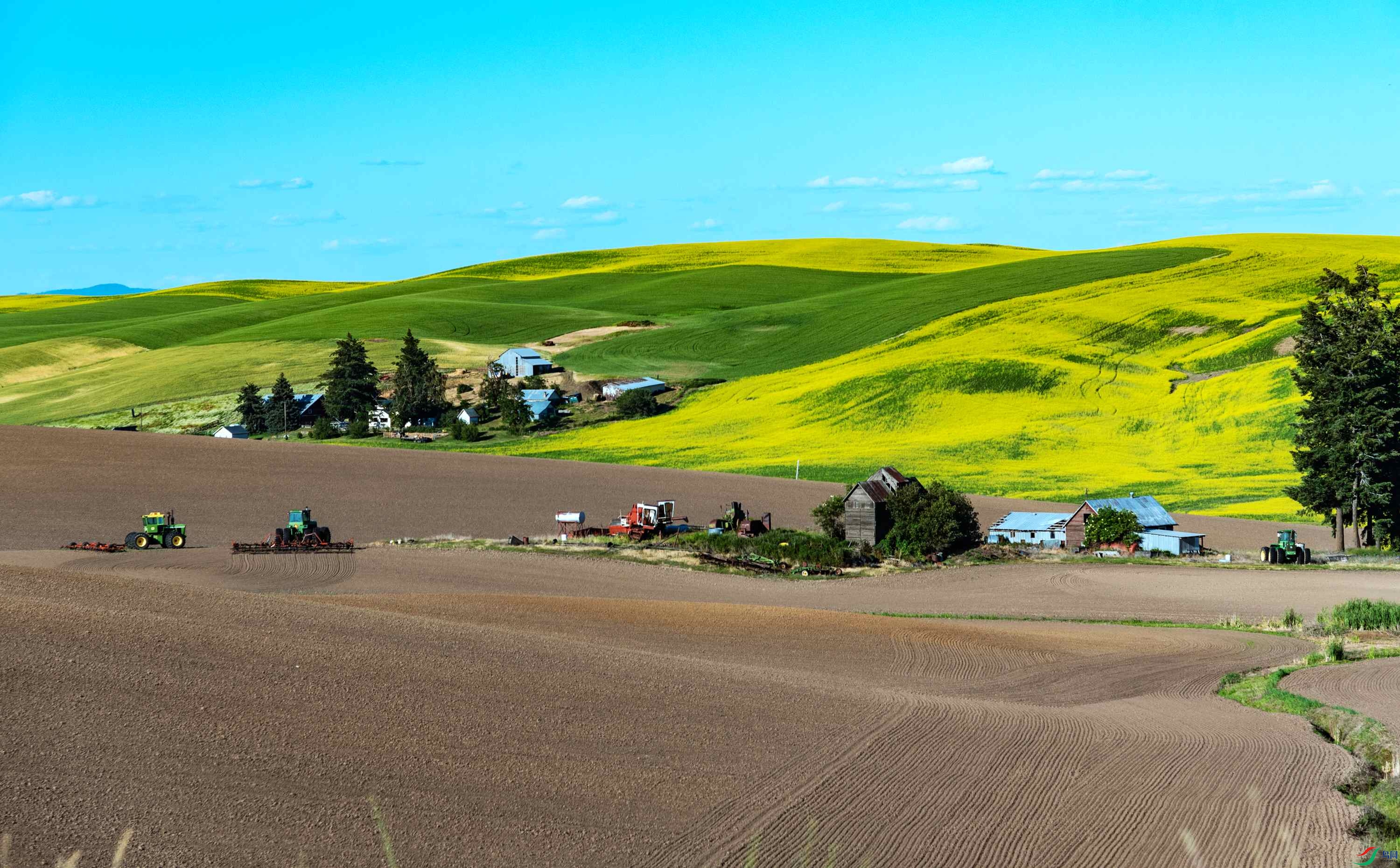 DSC_7652 ����_����.jpg