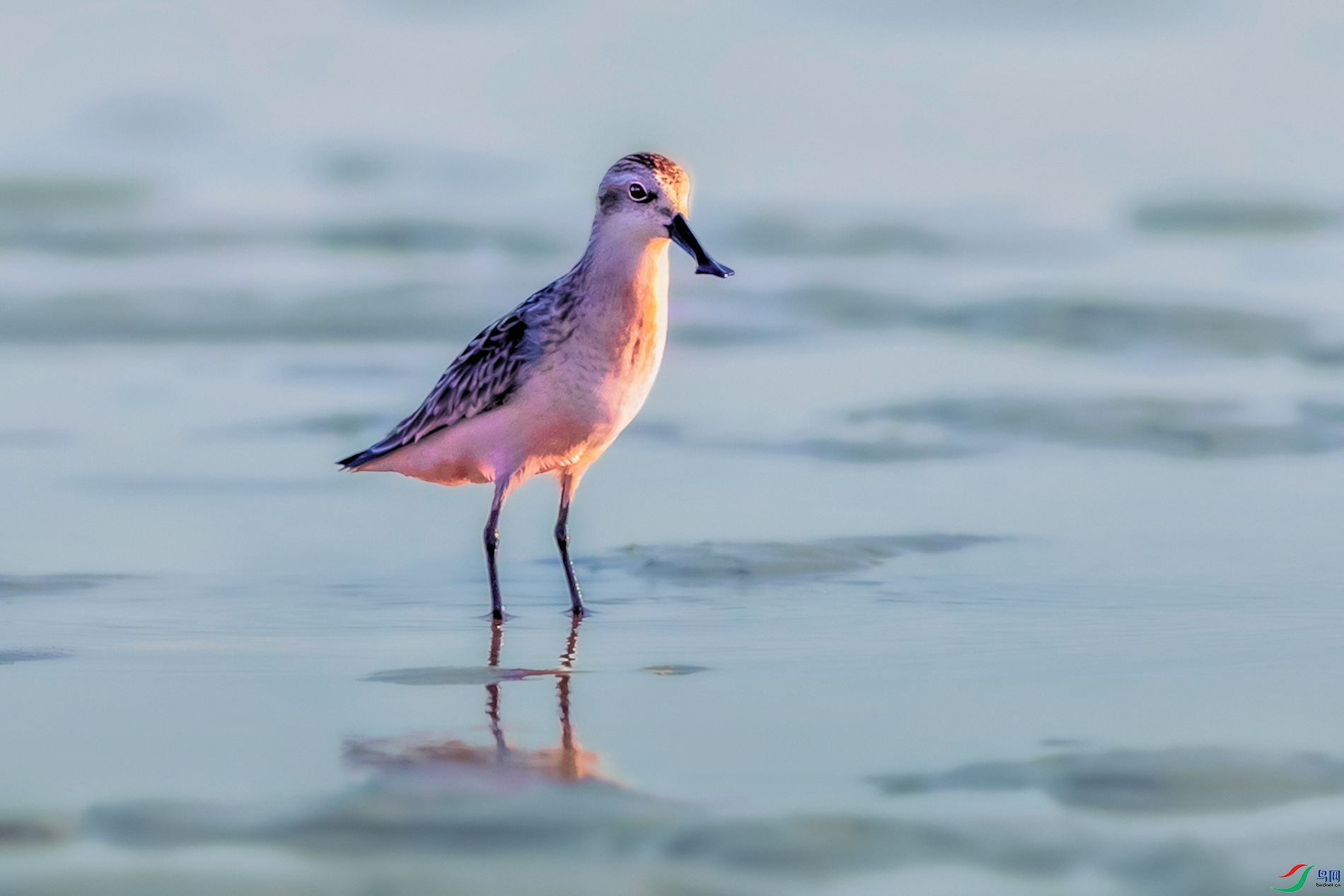 ������----��̲����Ϧ����