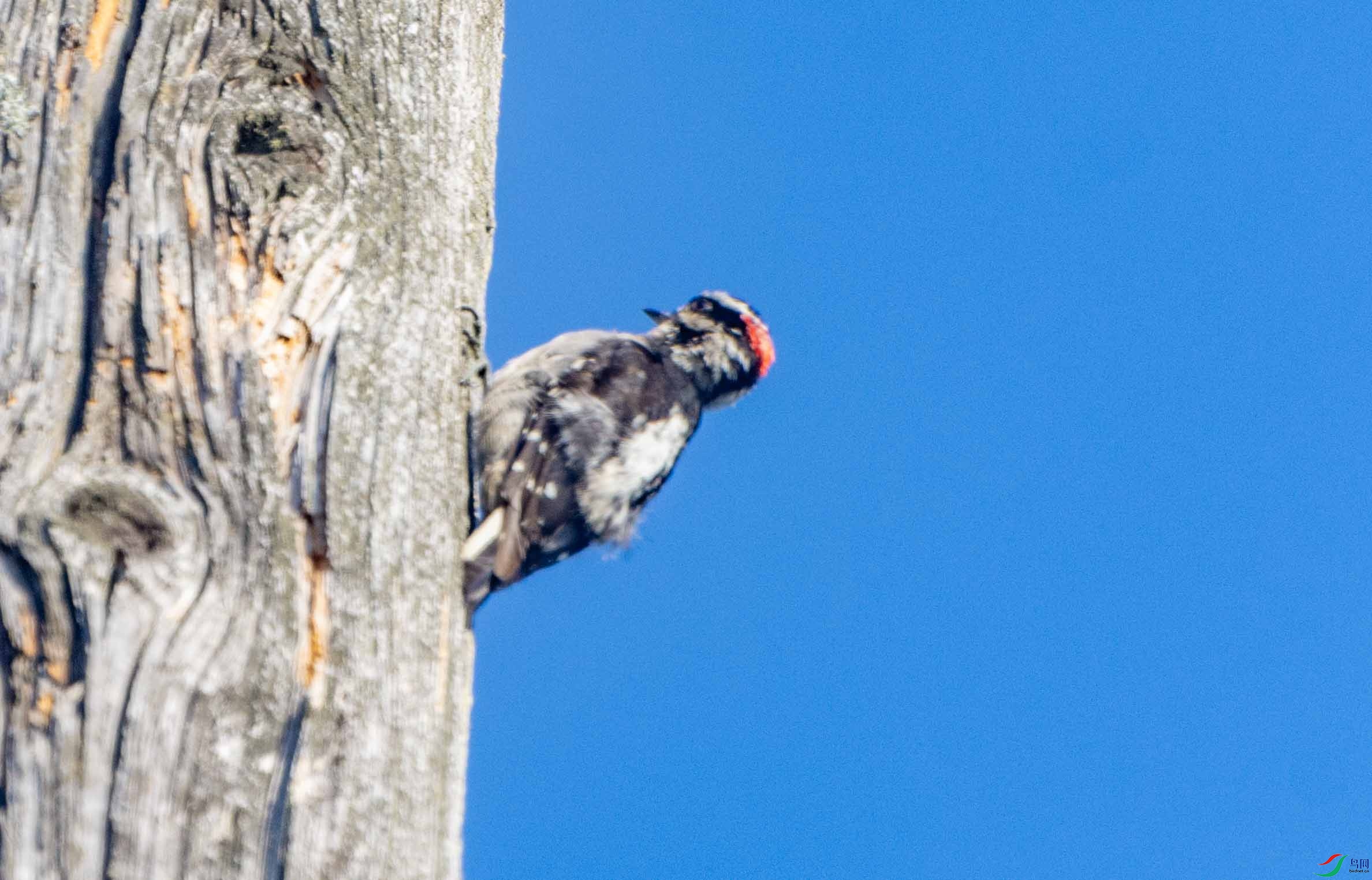 DSC_9034 ����.jpg