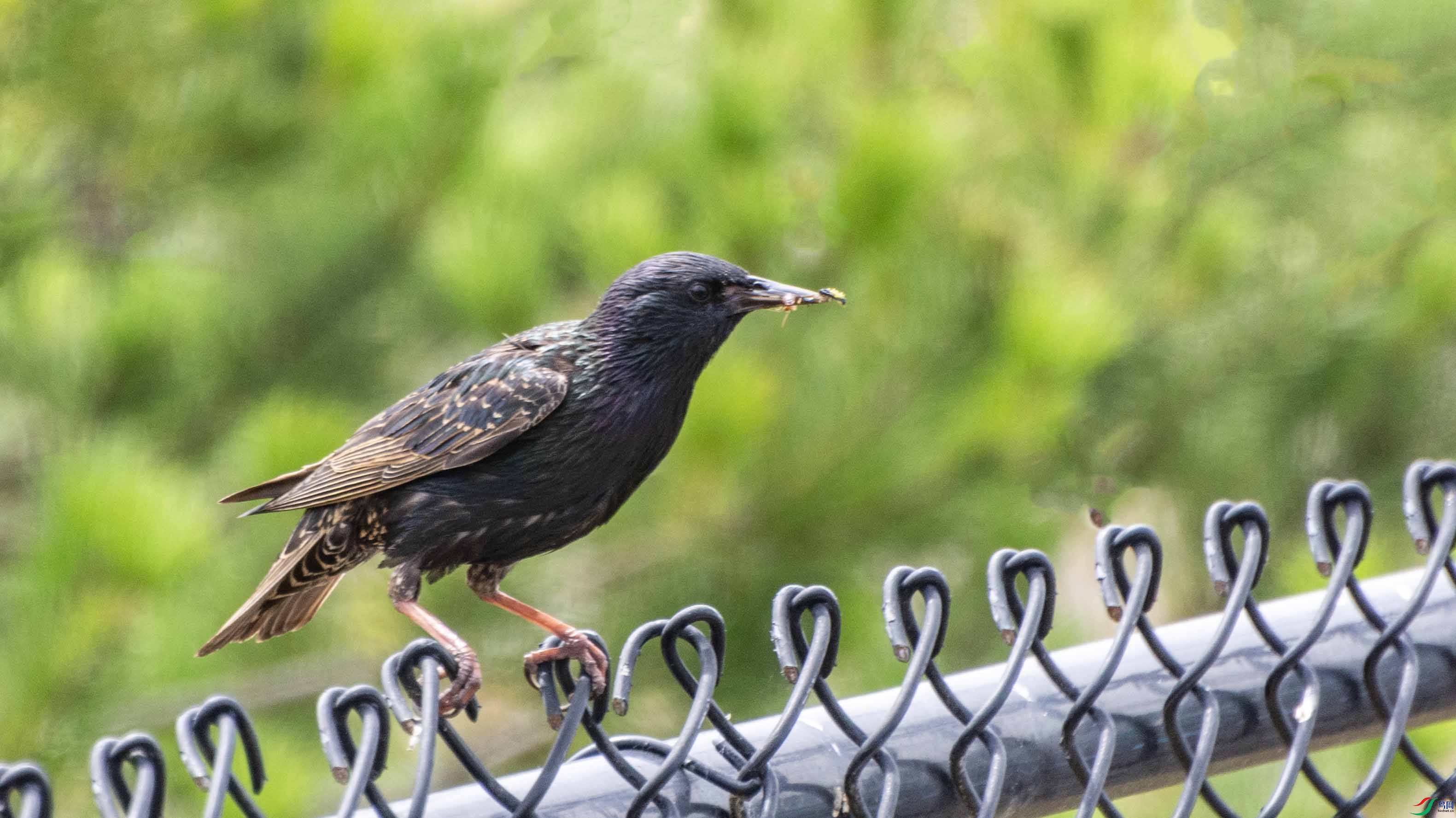 DSC_7719 ����.jpg