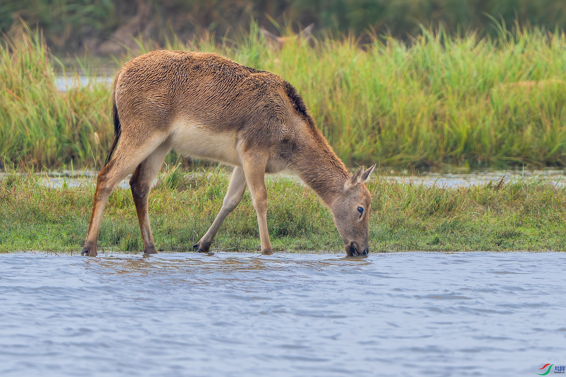 _DSC4836-����ǿ-NR ����_2_2.jpg