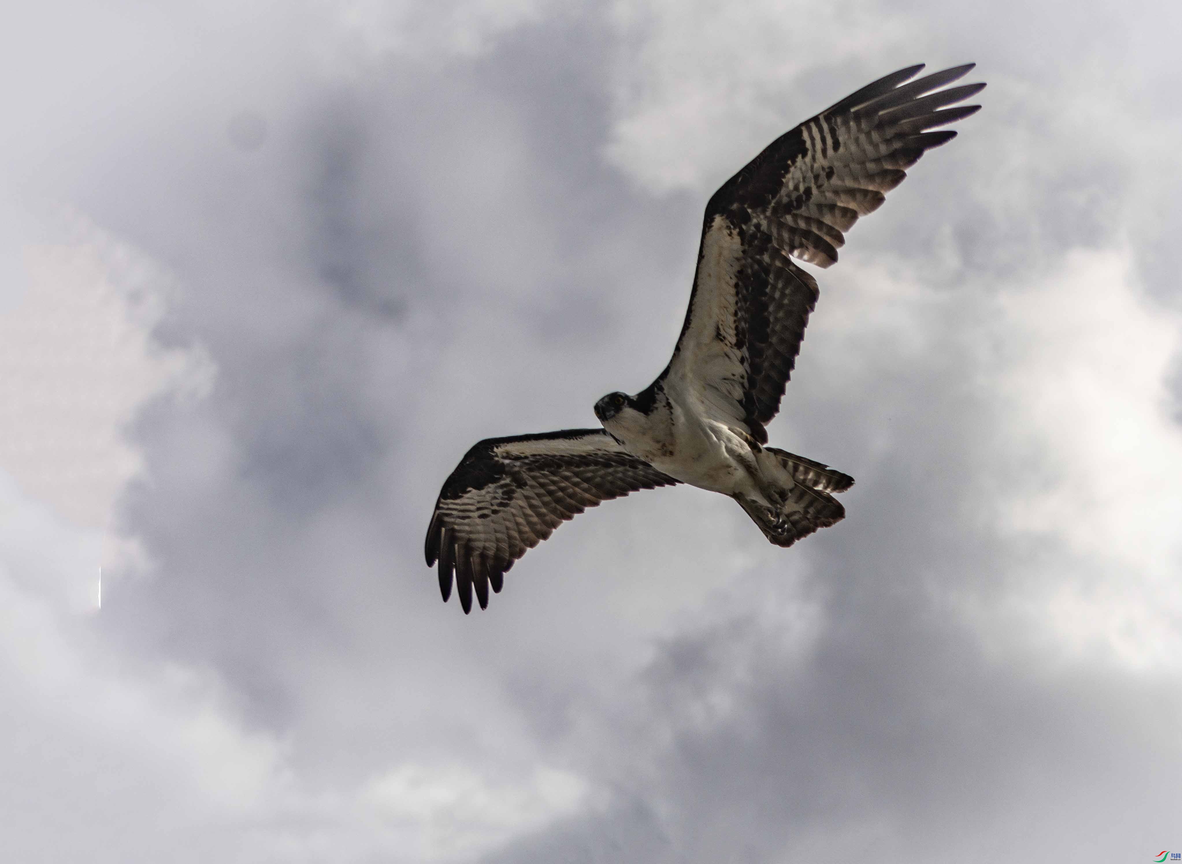 DSC_7751 ����.jpg