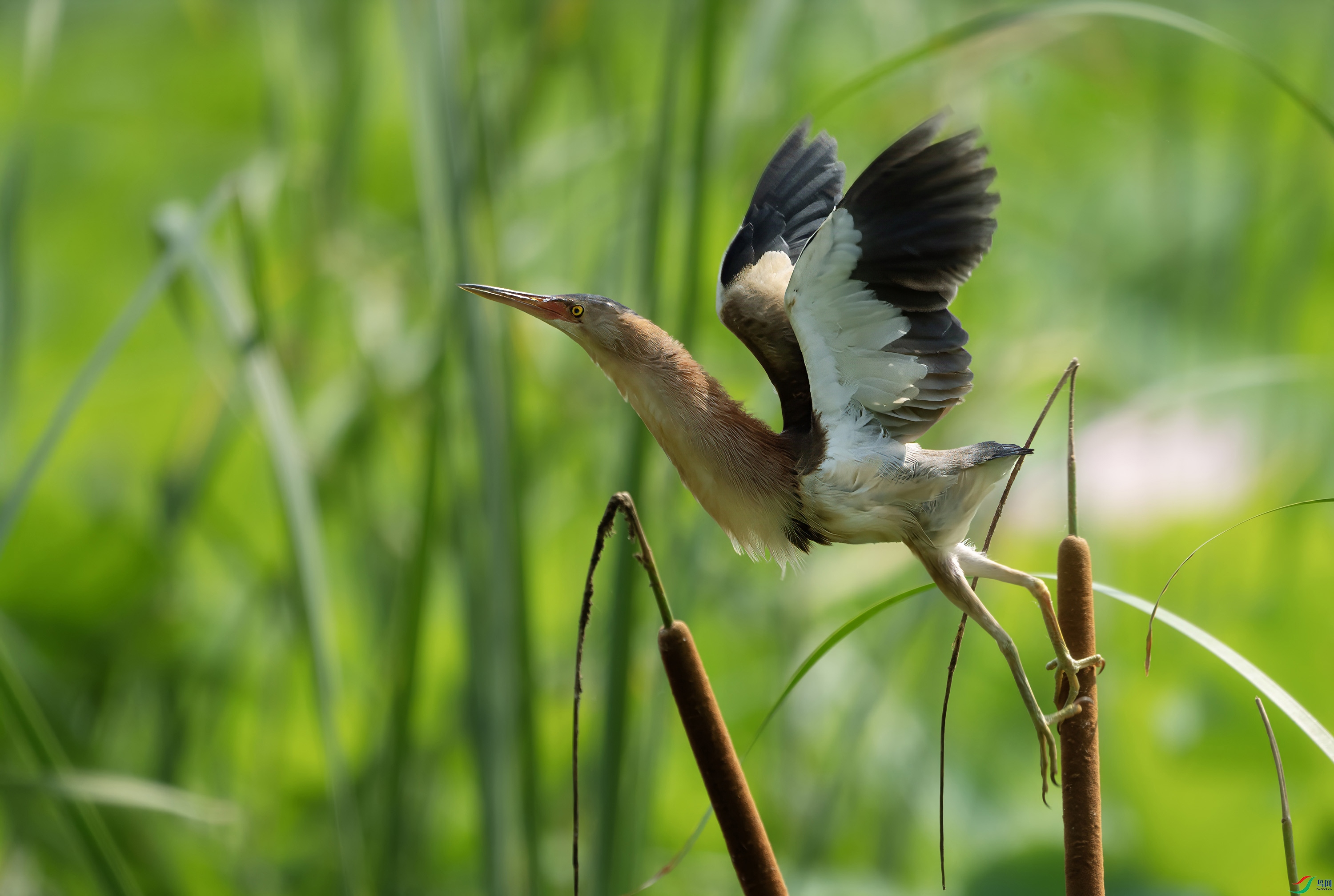 DSC06007 ���� 3.jpg