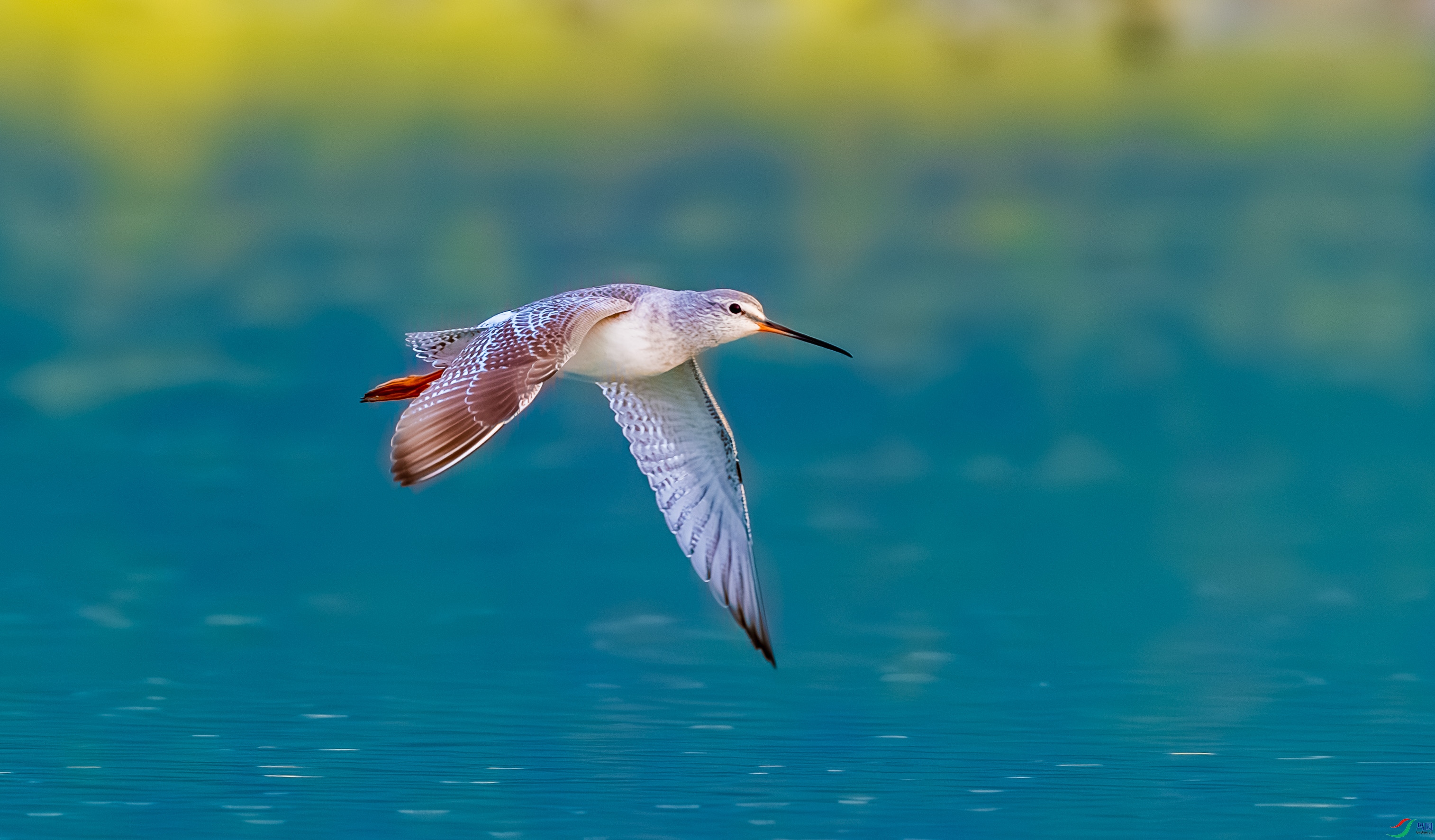 _DSC5332-����ǿ-NR_3.JPG