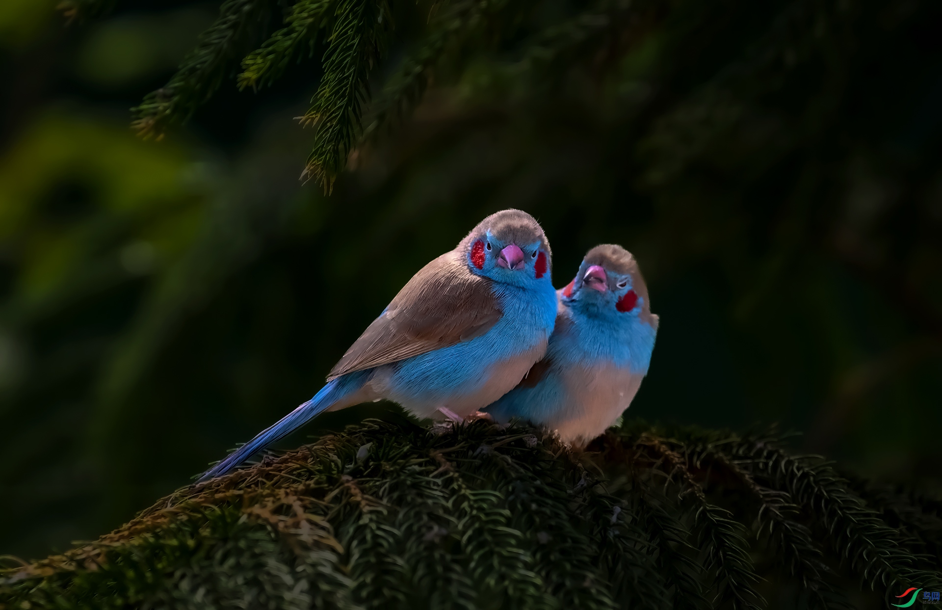 �������ȸ