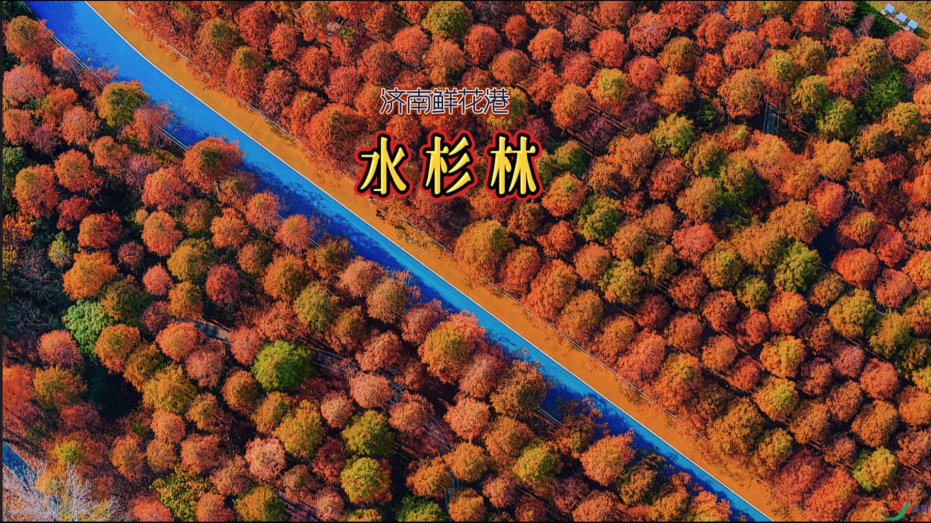 �����ʻ��ۡ���ˮɼ��