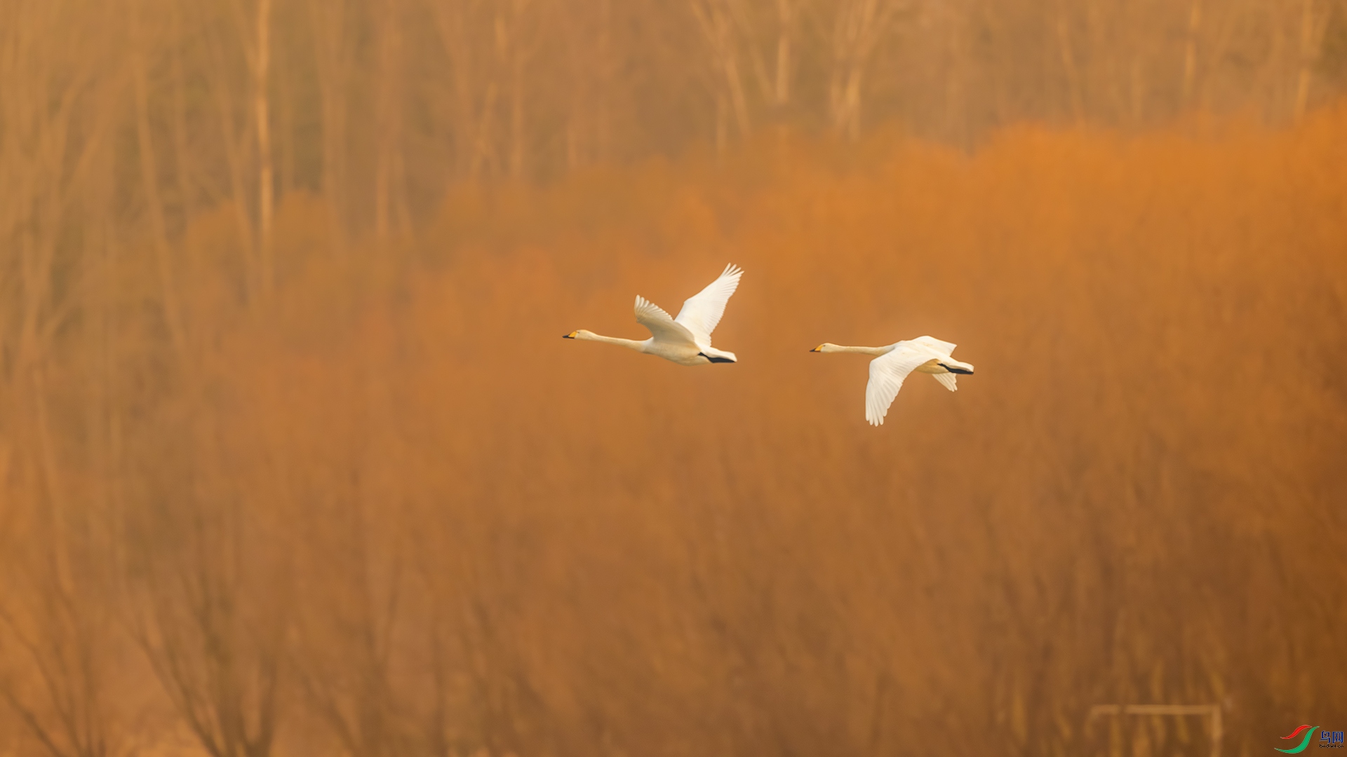 _DSC7784-����ǿ-NR ��С.jpg