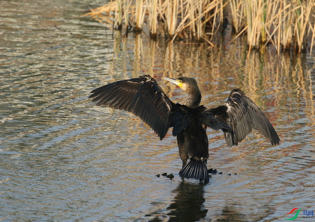 DSC20241121175.jpg