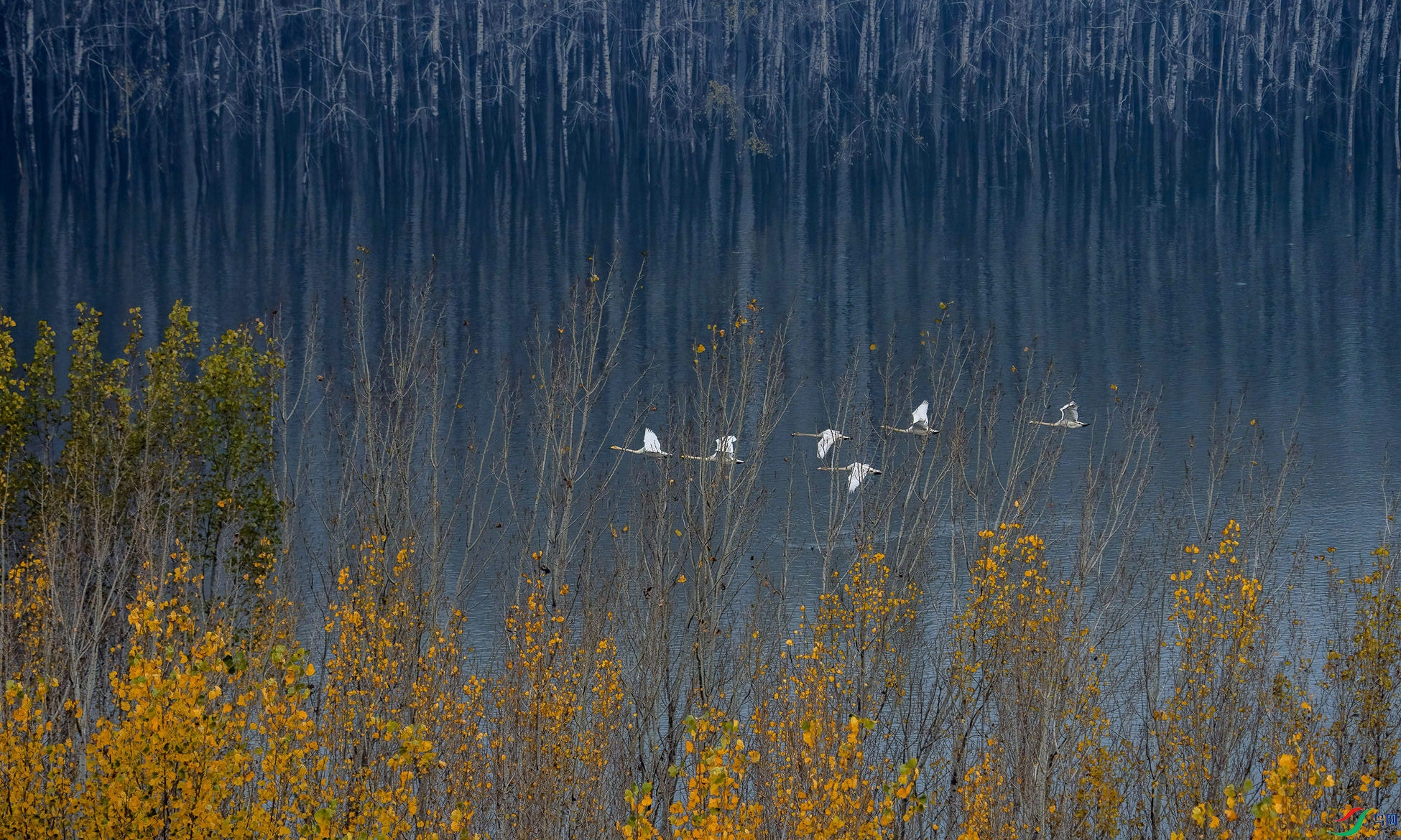 DSC00511 a_����.jpg