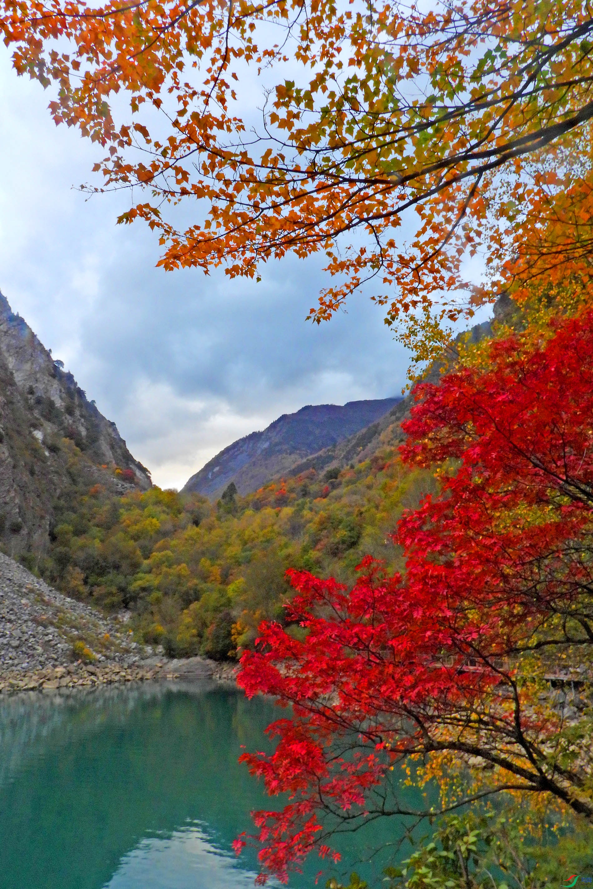 DSCN4093.JPG