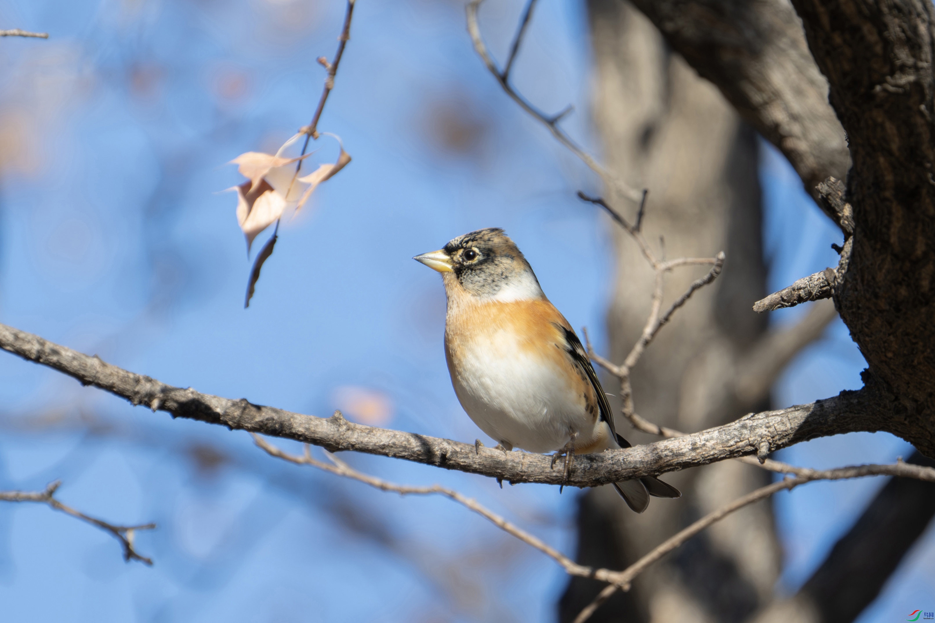 DSC_6889 ����.jpg