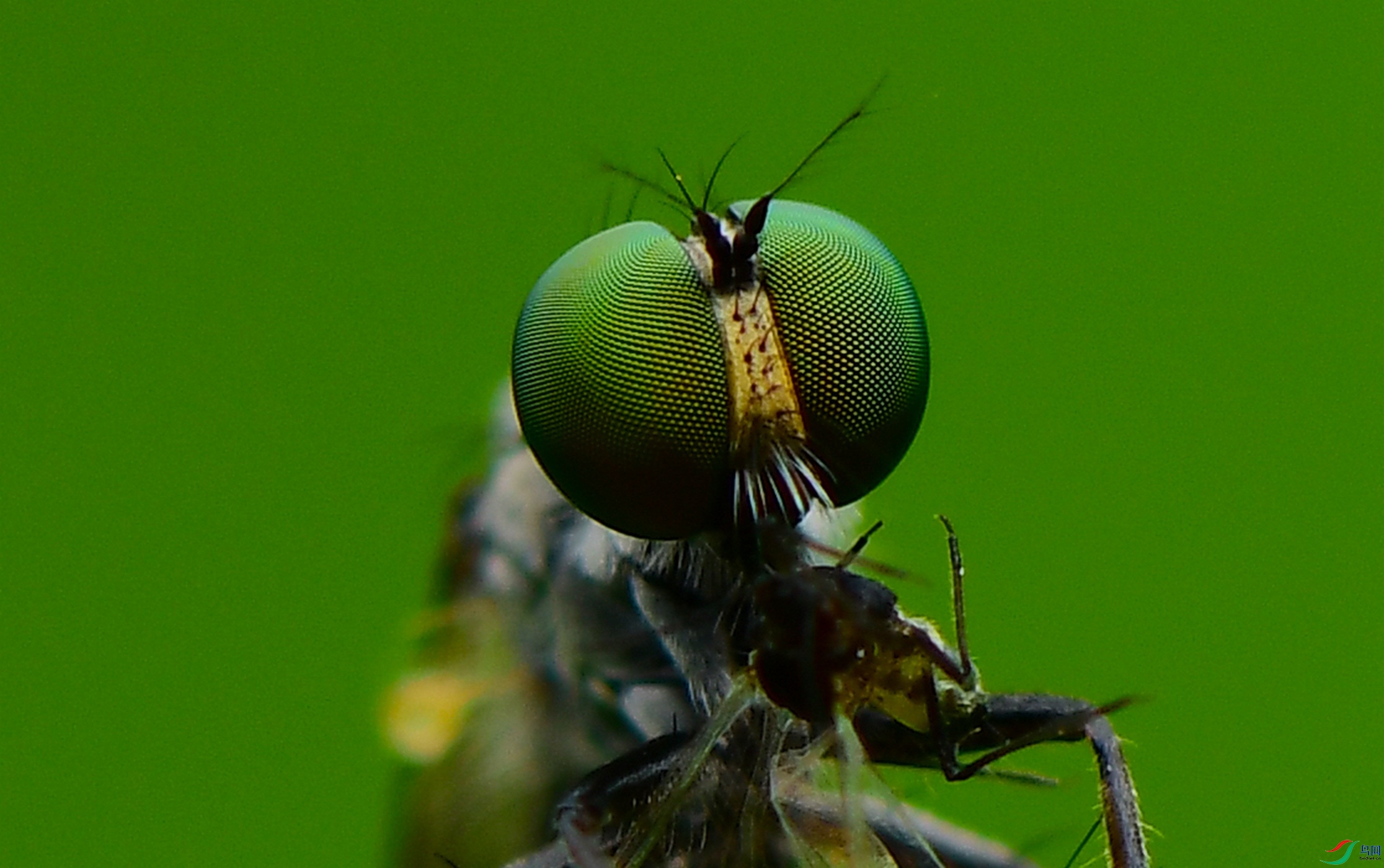 DSC_9487.JPG