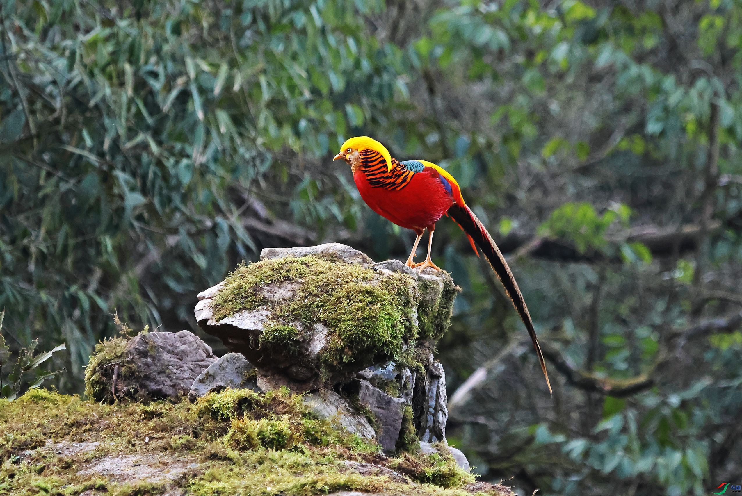 �츹���� (7).JPG